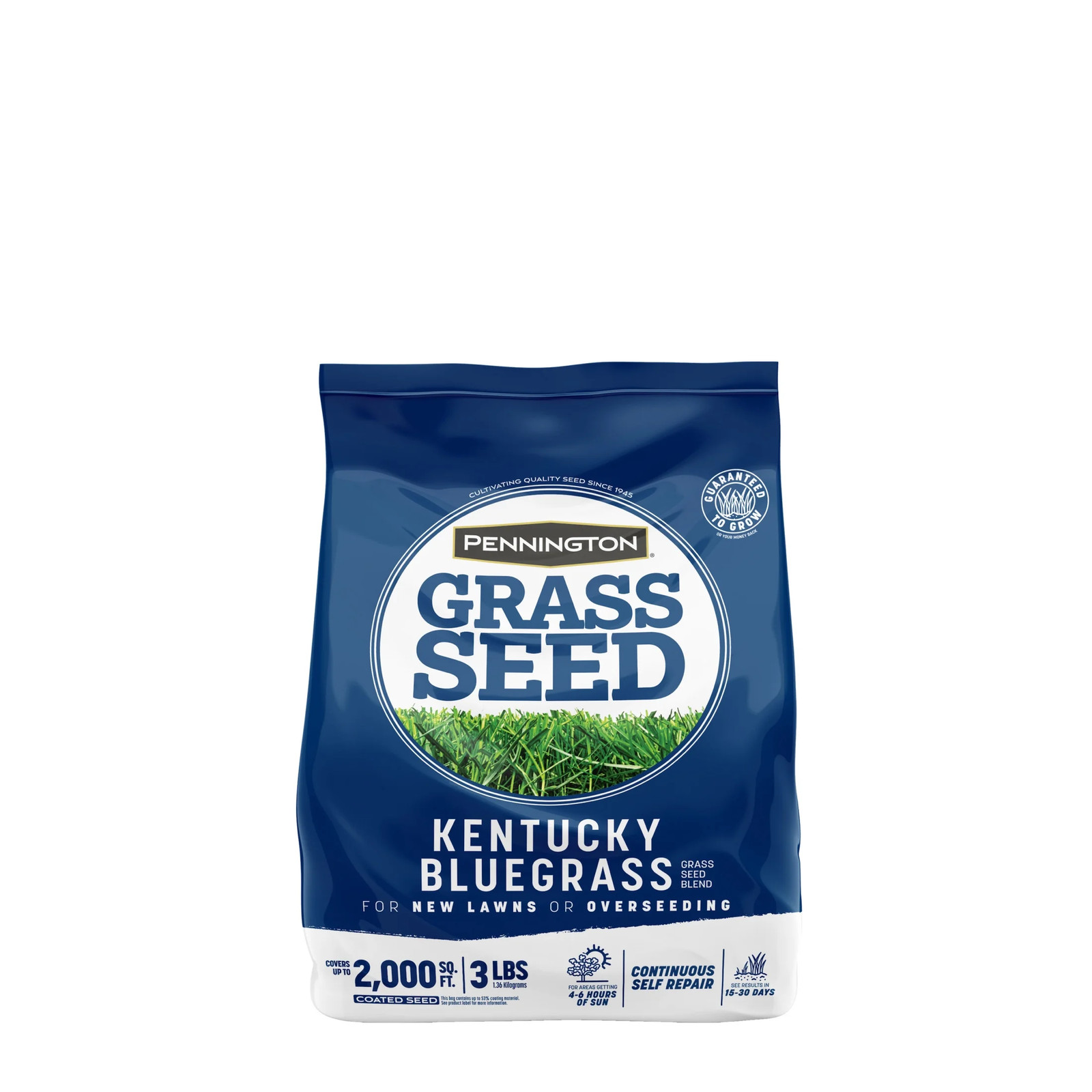 Kentucky Bluegrass Northern Grass Seed Mix, Sun Light to Partial Shade , 3 Lb.