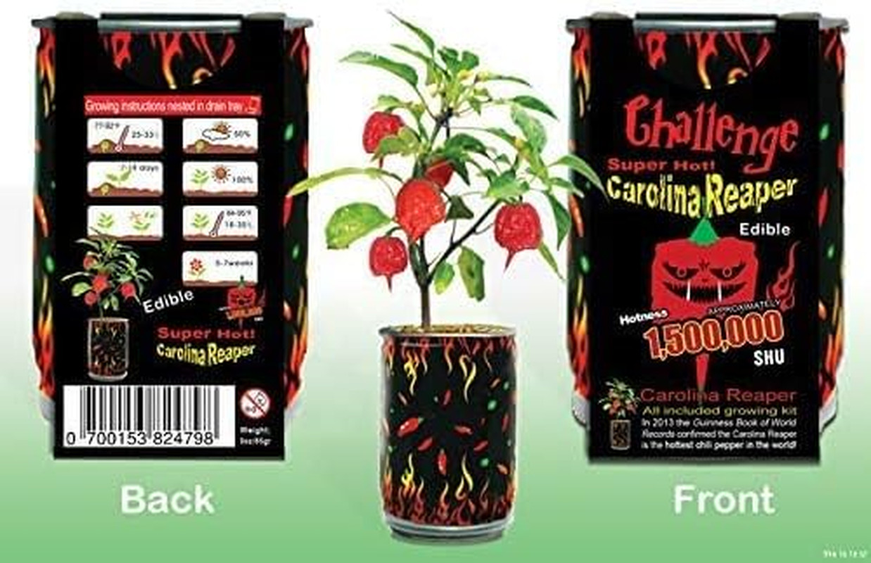 Super Hot Carolina Reaper Plant Kit