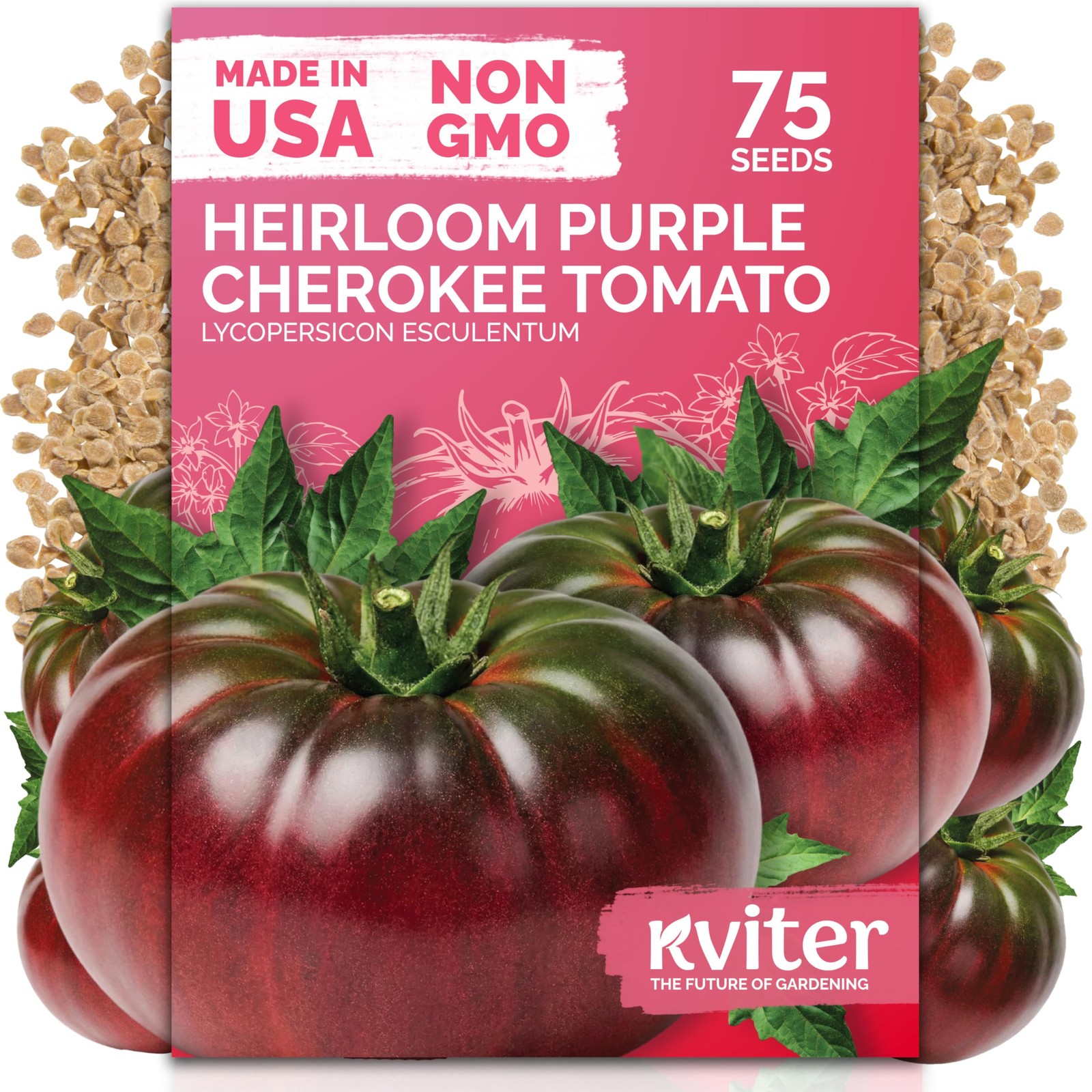 KVITER 75 Cherokee Purple Tomato Seeds (Lycopersicon Esculentum)