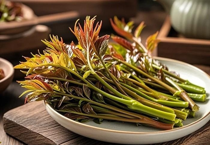 Chinese Toon Tree Starter Plant trunk Diameter 4 to 5 cm Toona Sinensis, Edible