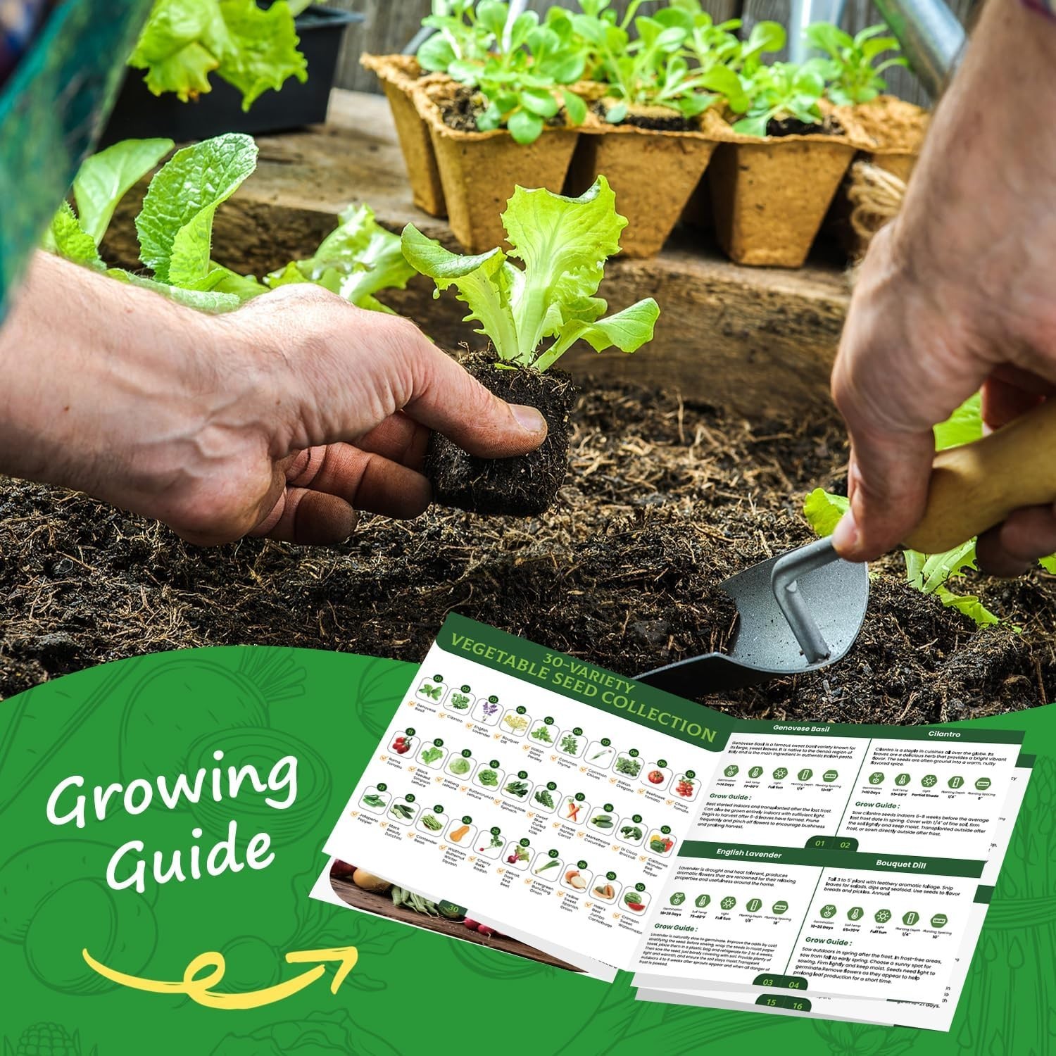 Heirloom Vegetable Seed Collection – 30 Non-GMO Seeds for Home Garden