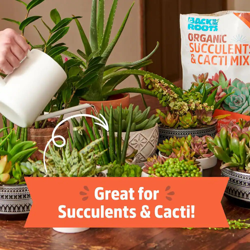6 Qt. Organic Succulent & Cacti Mix Soil (2-Pack)