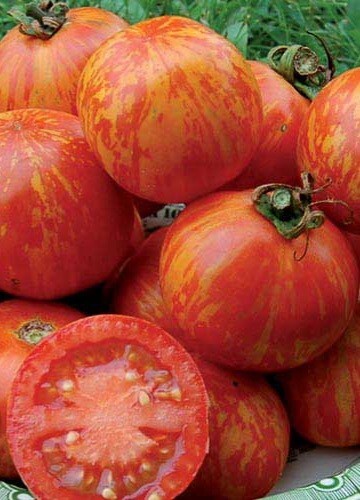 45 Organic Non-Gmo Red Zebra Tomato Seeds- Seeds Of Tomorrow