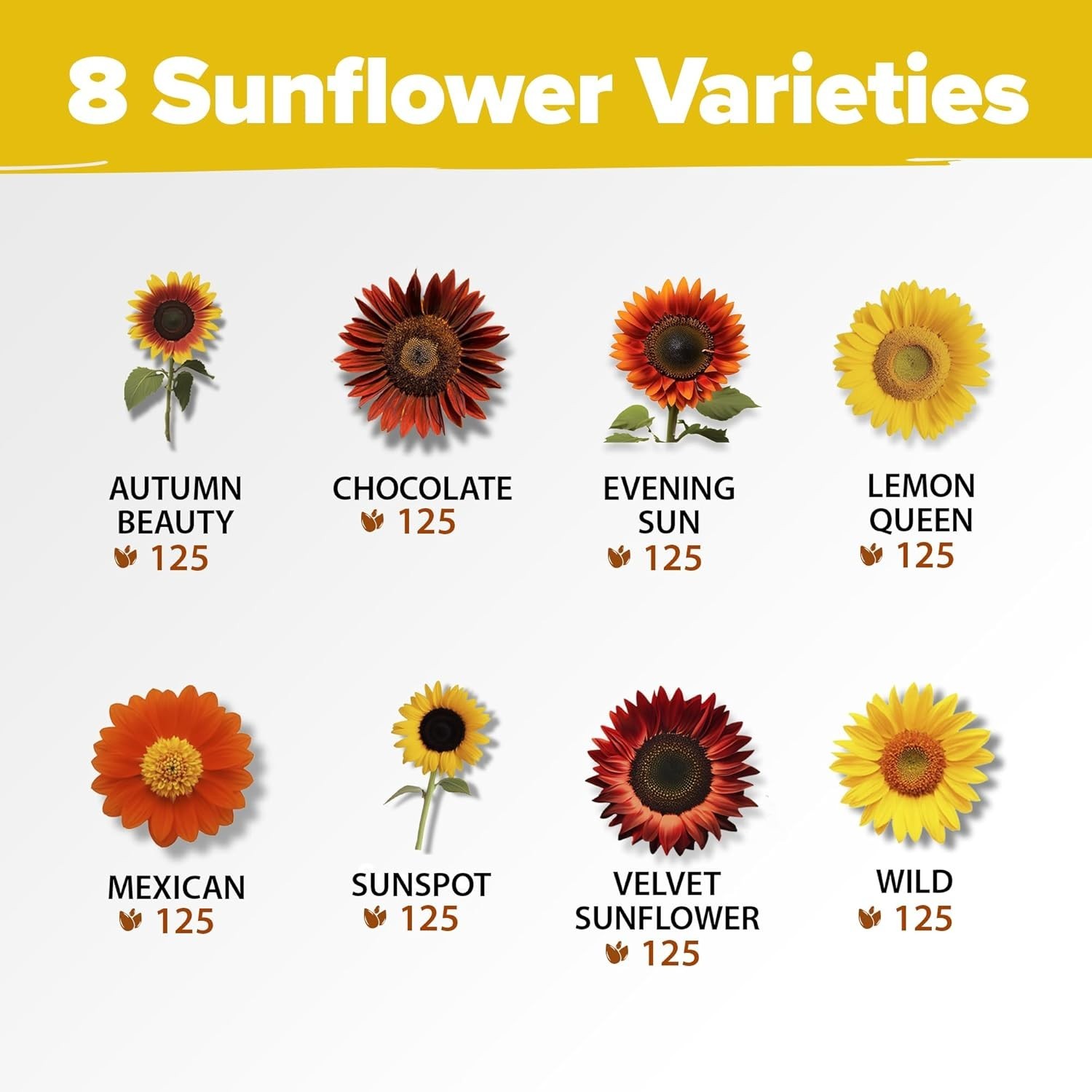 8 Varieties Sunflower Seeds Pack 1000+ Non-GMO for Garden, Indoor & Outdoor