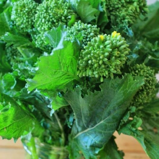 Broccoli Early Fall Raab Rapini 300 – 4000 Seeds Microgreens Sprouting Garden