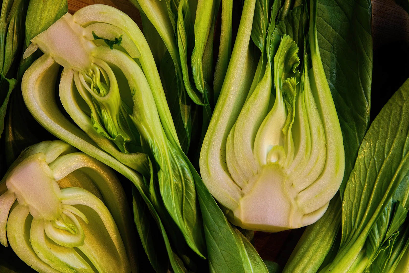 Wa Wa Qing F1 Bok Choy Seeds | Hybrid Shanghai Pak Choi Seed 2024 Fast Shipping