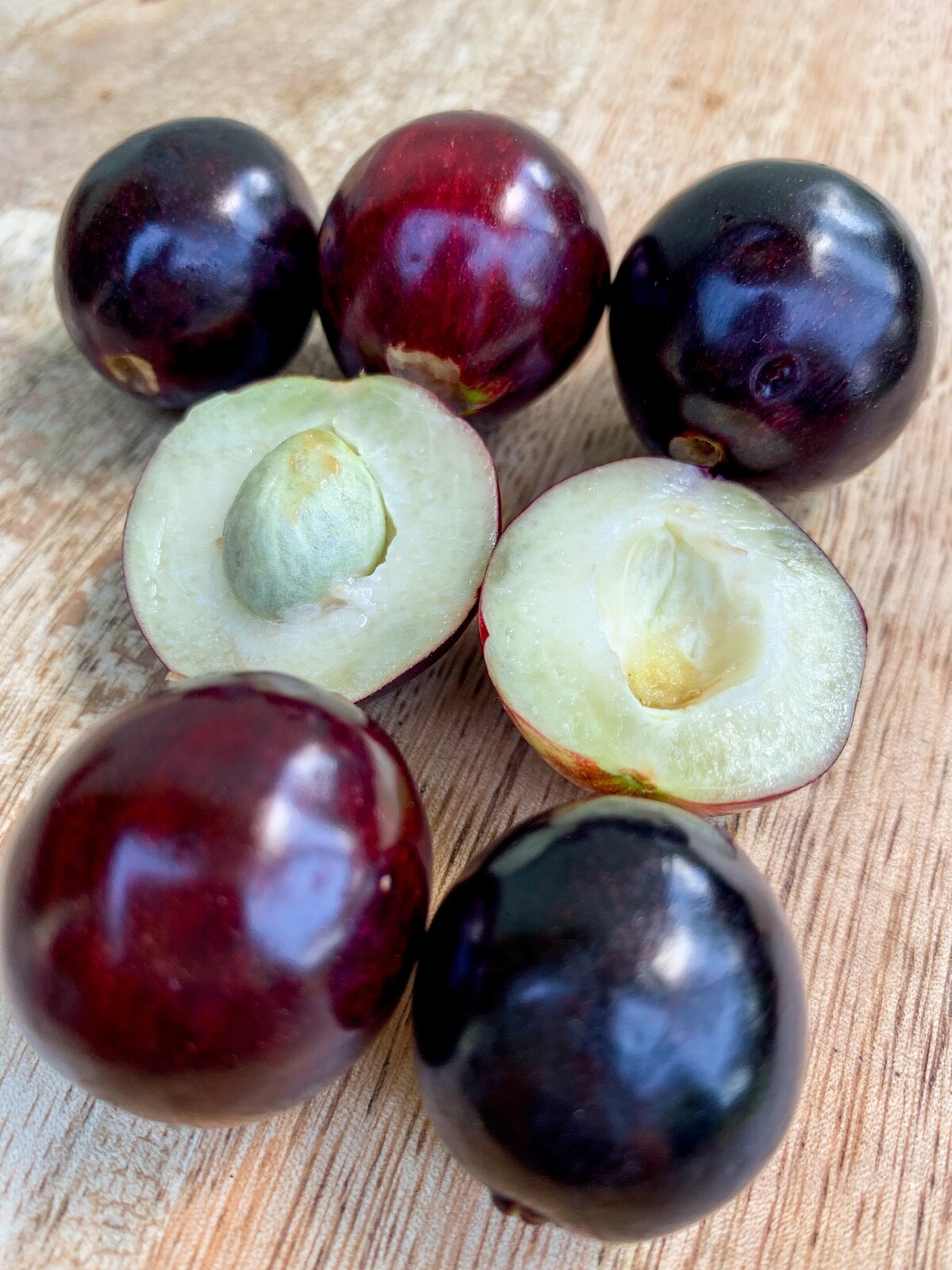 Rainforest Plum Eugenia Candolleana Cambui Roxo Murtinha Purple Fruit Tree Plant