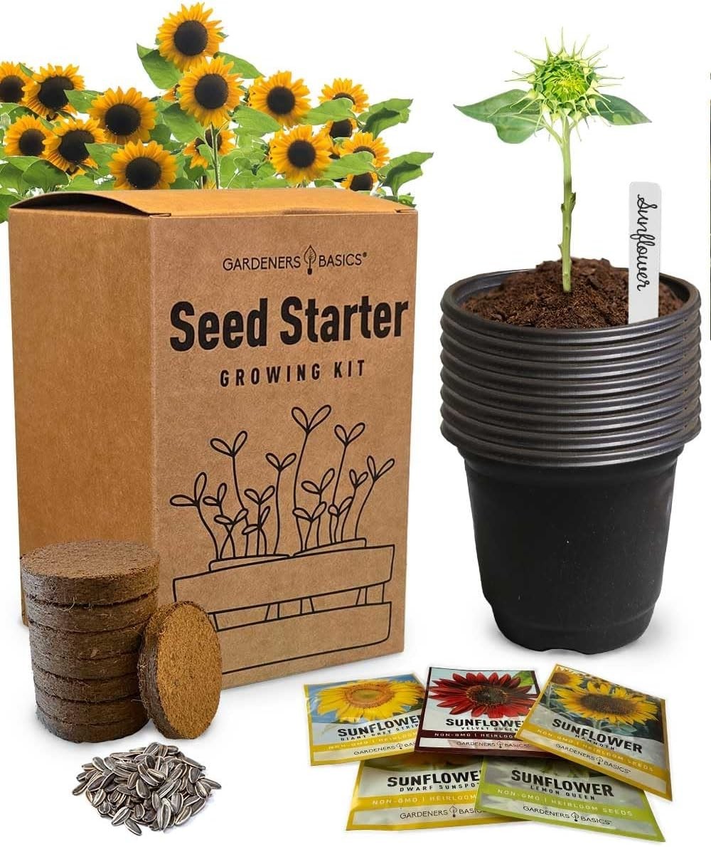 Complete Sunflower Garden Kit: 5 Heirloom Varieties for Pollinator Bliss