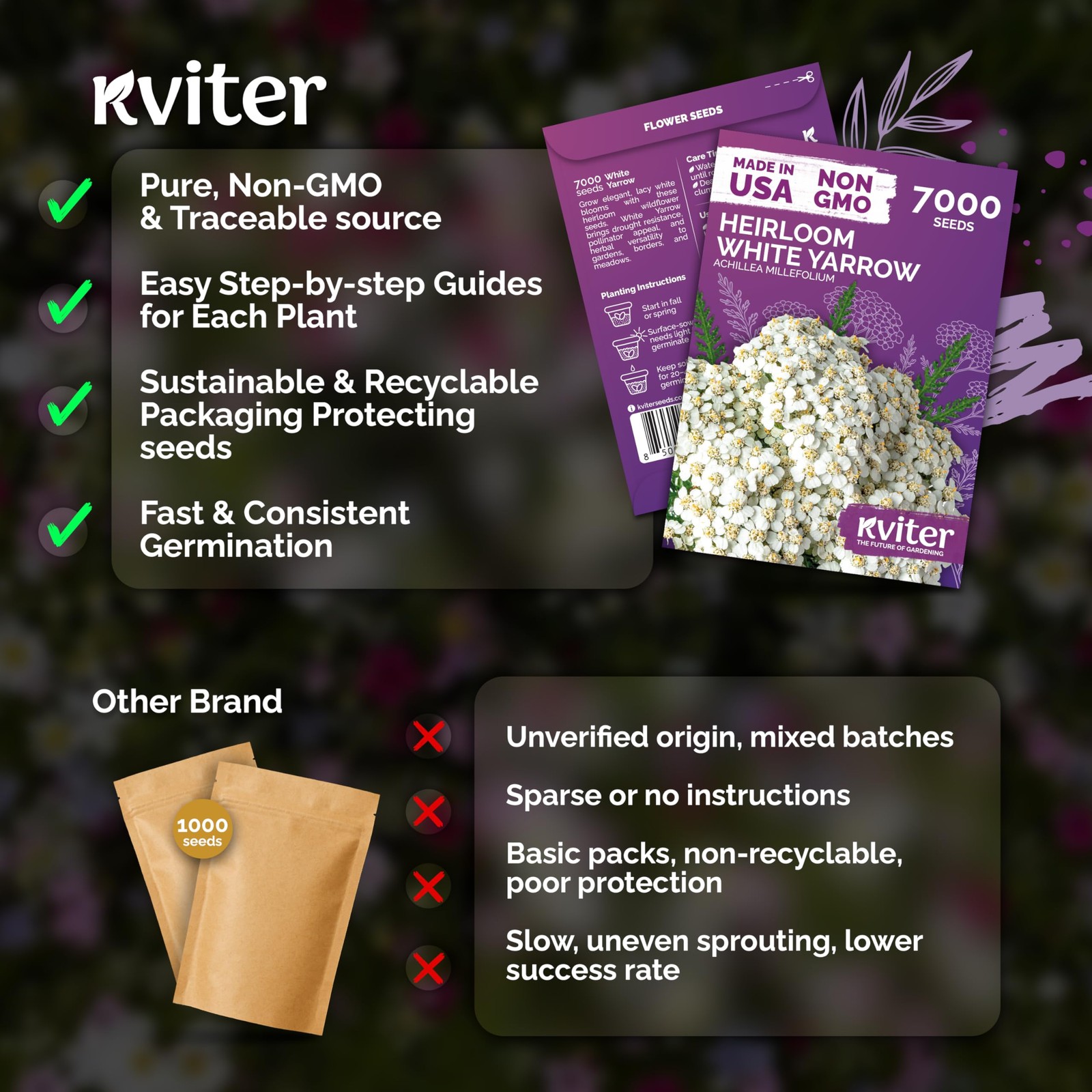 KVITER 7000 White Yarrow Seeds for Planting (Achillea Millefolium)