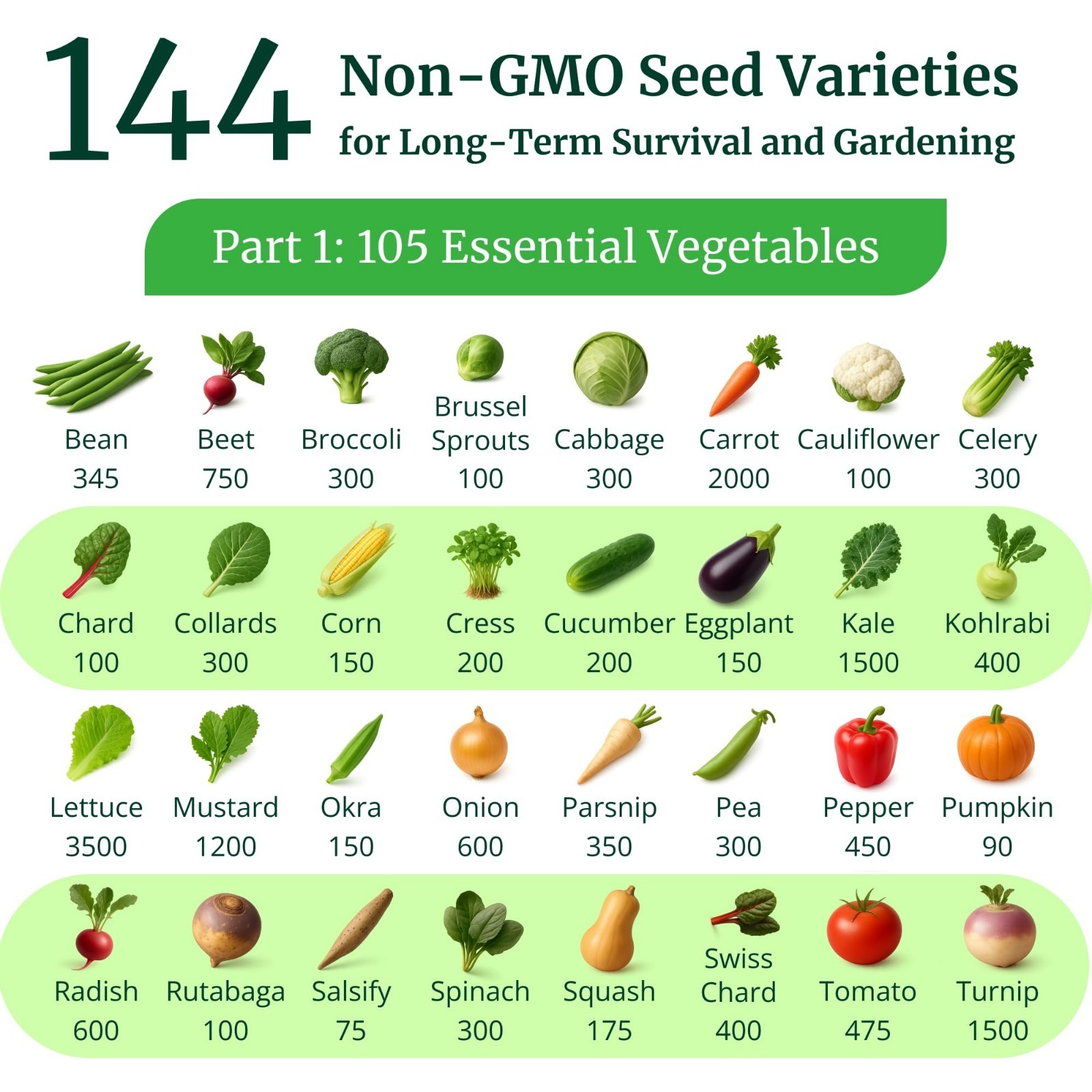 Non-GMO Heirloom Survival Seed Vault – 23,000 Open-Pollinated Seeds for All Zone