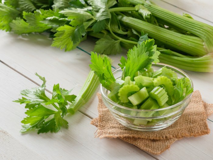 1000+ Tendercrisp Celery Seed, Heirloom NON-GMO Fresh Seeds FAVORITE & FLAVORFUL