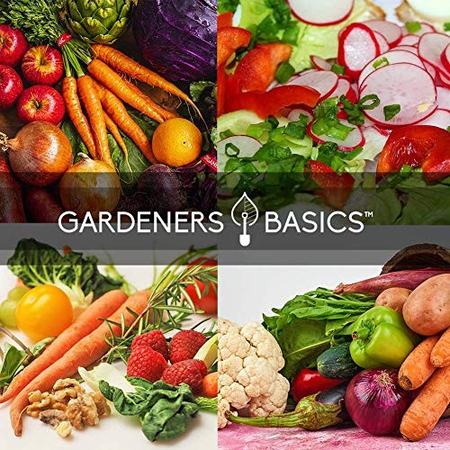 Cool Weather Crops for Planting – Winter, Fall, and Spring Vegetable Seeds