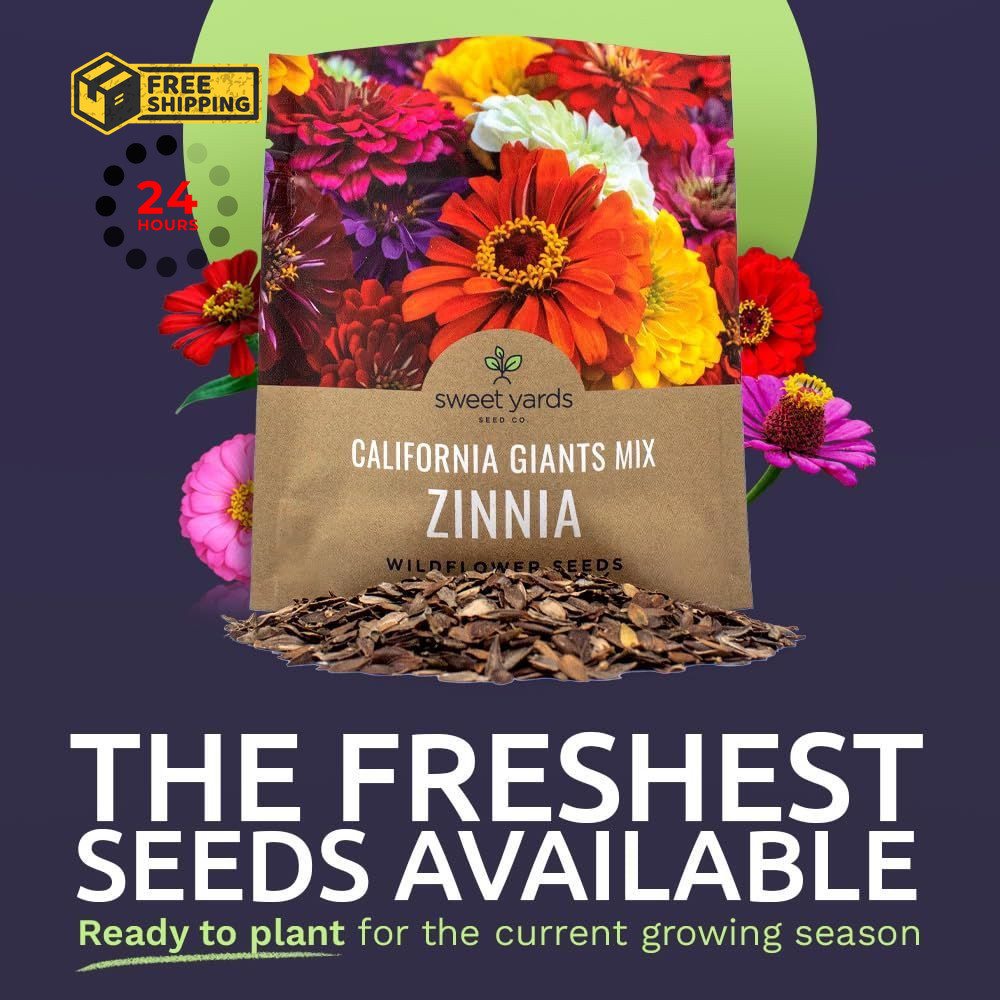 Zinnia Seeds – California Giants Mix – Large 1 1 Ounce Pouch, Multiple Colors
