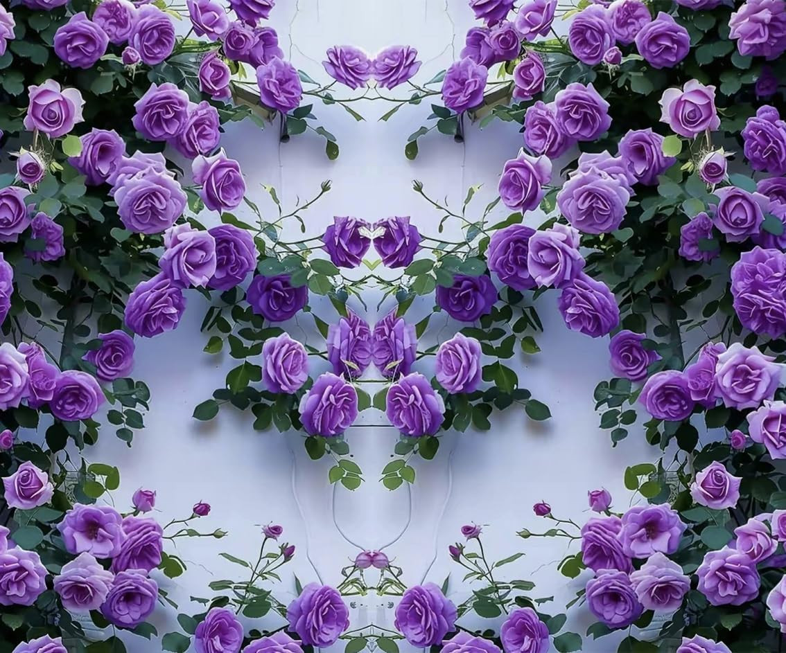 Purple Climbing Rose Rosa Seeds Bush Vine Climber Fragrant Butterfly Rare Non-GM
