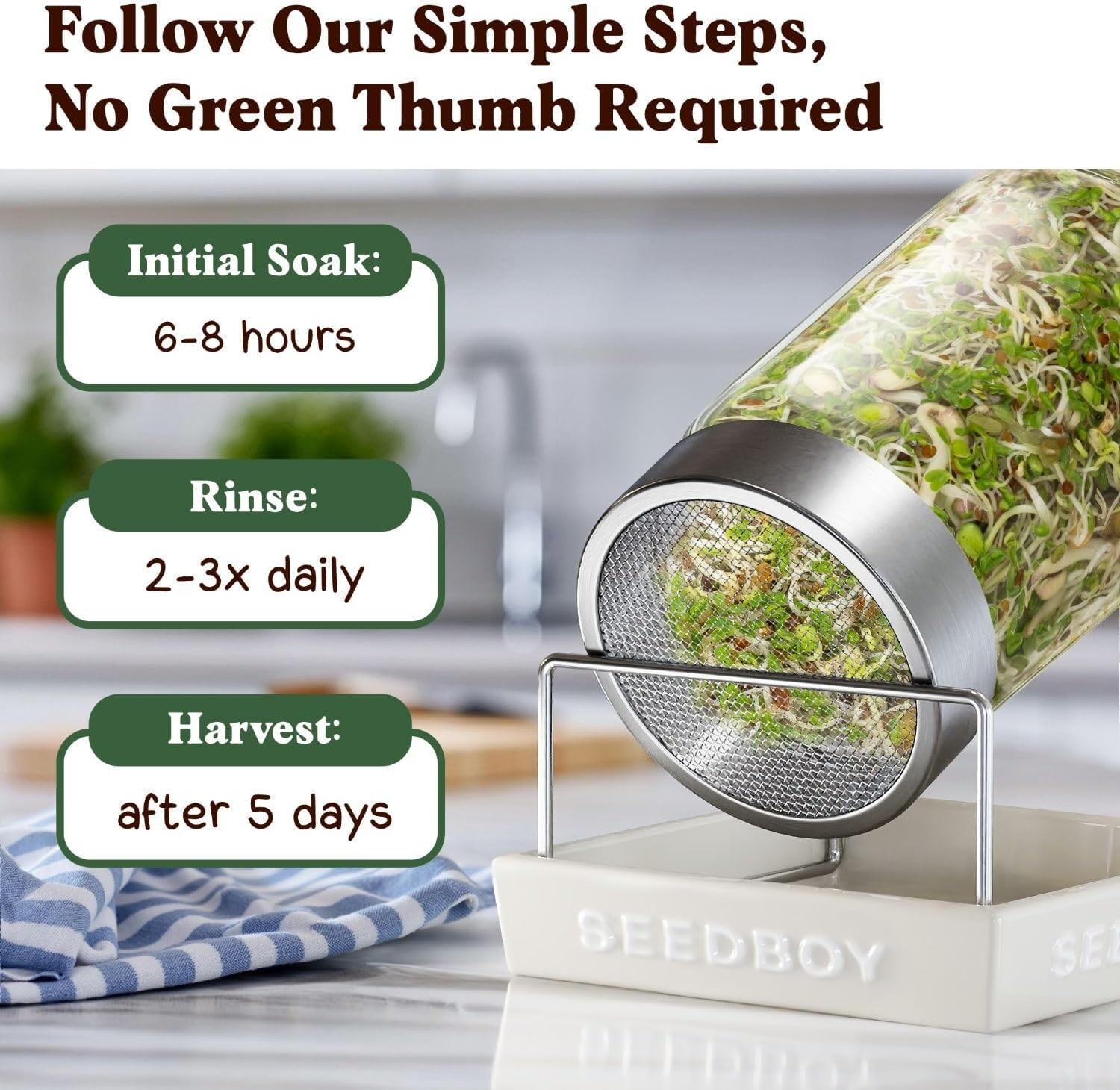 Organic Non-GMO Sprouting Seeds for Fresh Salad Mix – USA Grown Microgreens