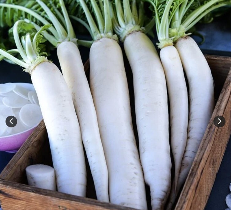 New 2026 Radish Seeds – Daikon Minowase – 100 seeds – Free Shipping