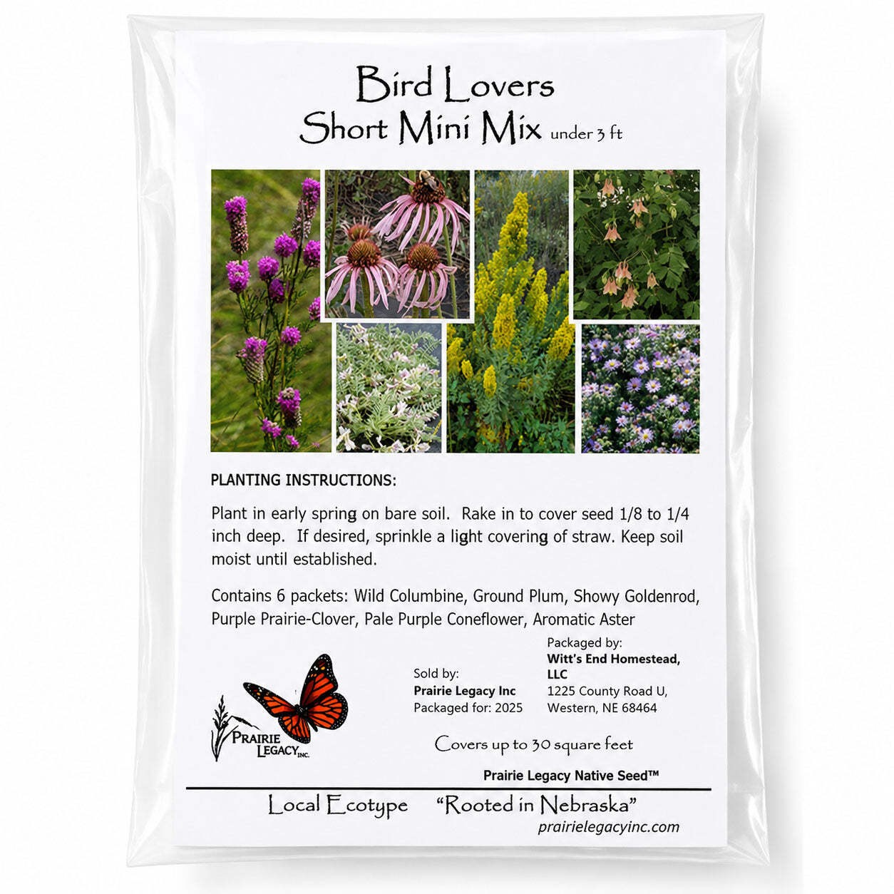 Backyard Bird Wildflower XL Bundle | Tall & Short Mini Mixes and Backyard Bird B
