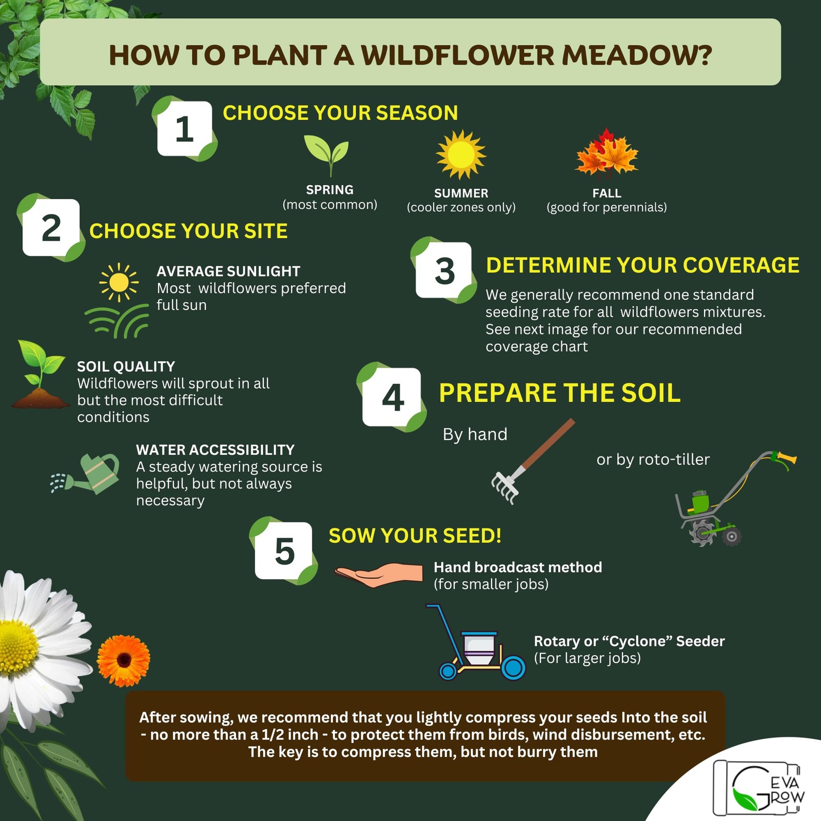 Perennial Wildflower Seed Mix 90,000+ Seeds for Easy Planting Anywhere