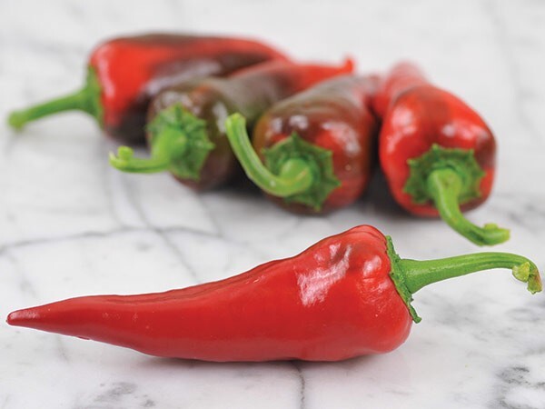 RARE✿ Polish Heirloom Ostra Cyklon Hot Pepper 15 Seeds ●Rich Flavor