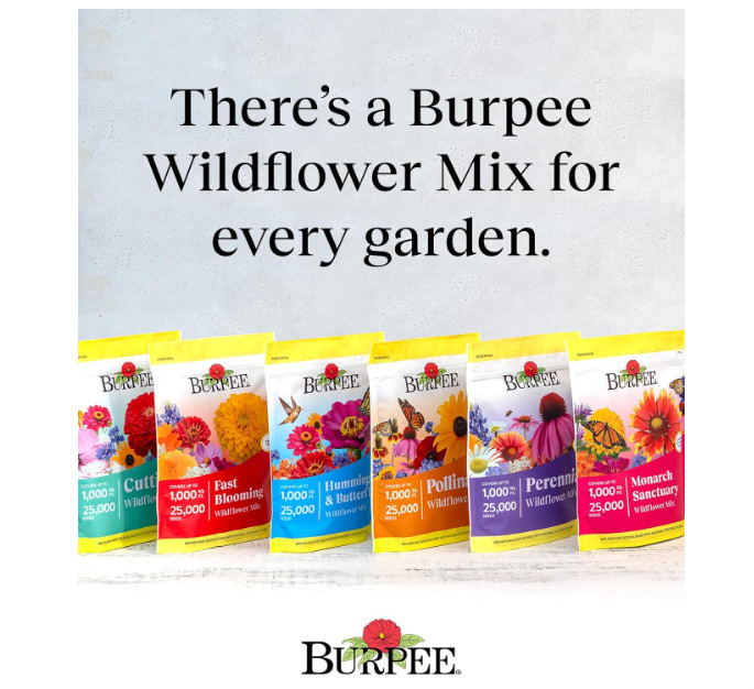 Wildflower 25,000 Bulk, 1 Bag, 18 Varieties of Non-Gmo Flower Seeds Pollinator G