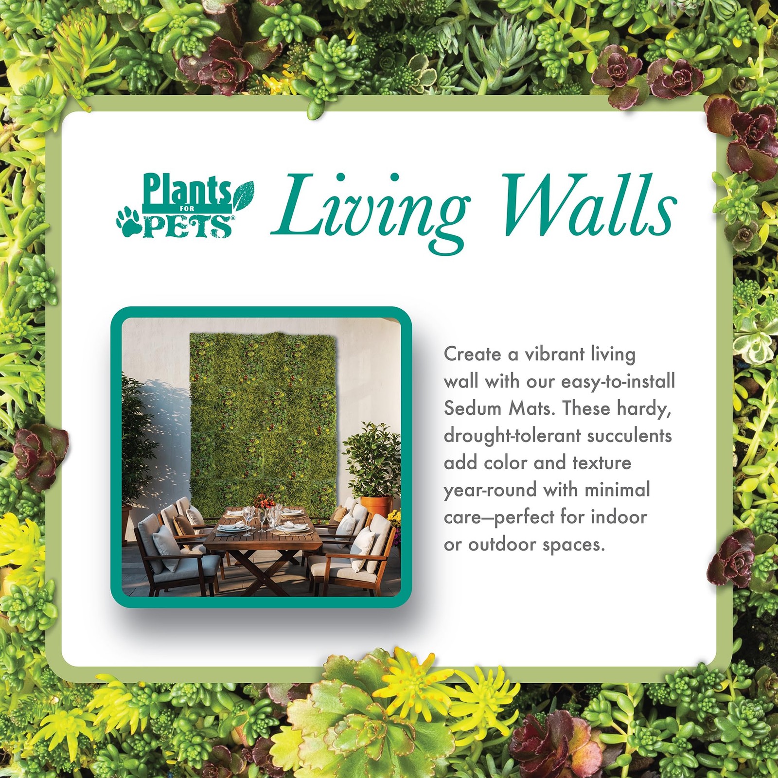 Plants For Pets 10 In. X 20 In. Sedum Groundcover Mat Non-Toxic Hardy Stonecrop