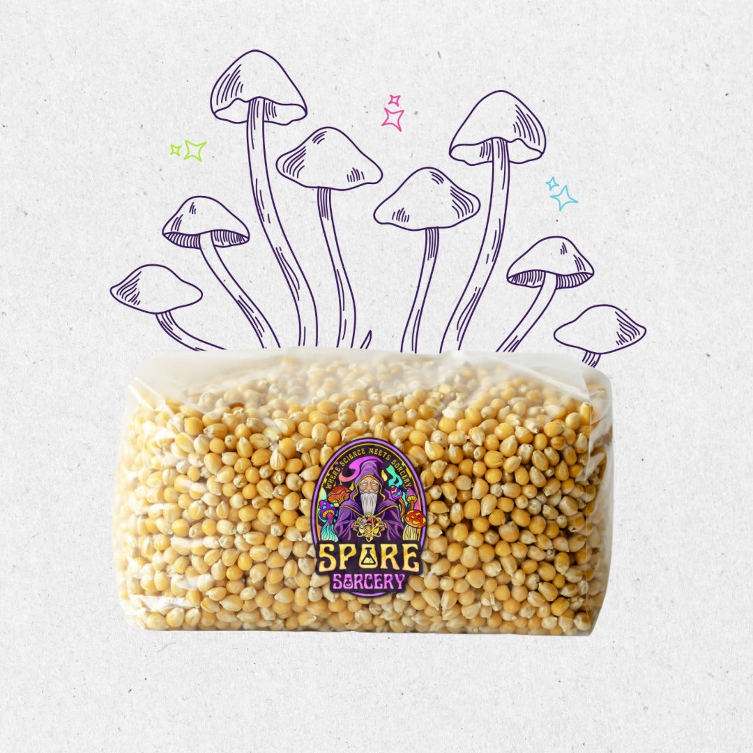 6 Pack | 5lb Drippy Corn Grain Spawn