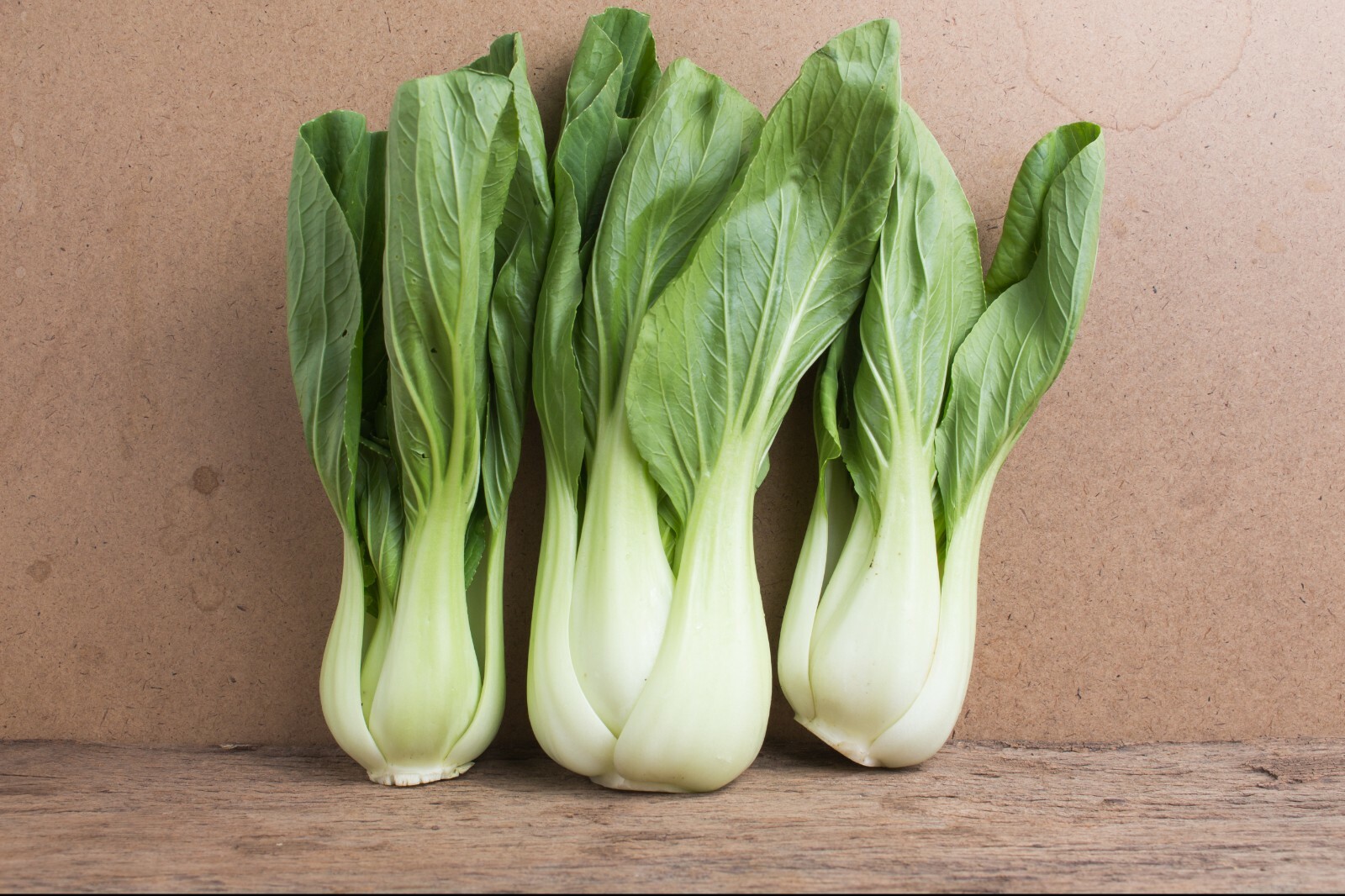 4000+ CHINESE WHITE STEM PAK CHOI Bok Choy Chinese Cabbage Seeds Non-GMO USA