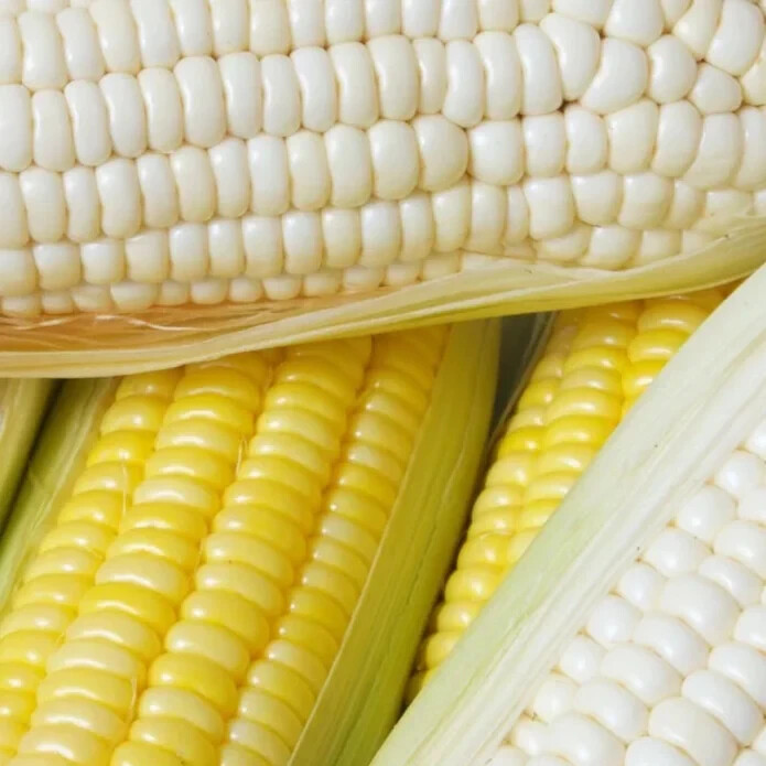 50pcs Sweet White Corn Seeds – Heirloom, Sweet, Open-Pollinated, Non-GMO.