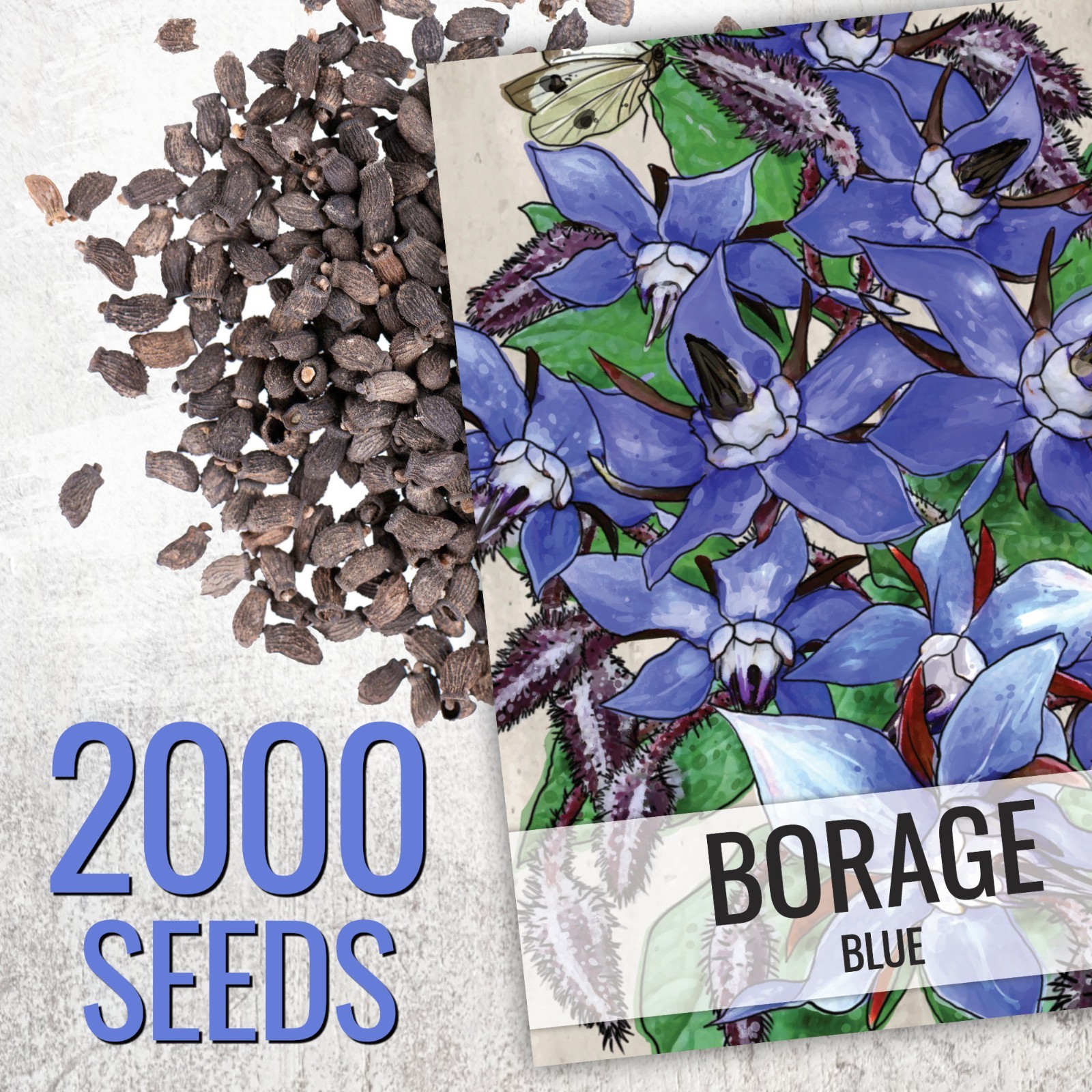 Blue Borage Seeds for Planting Herb Seed 2,000+ Heirloom