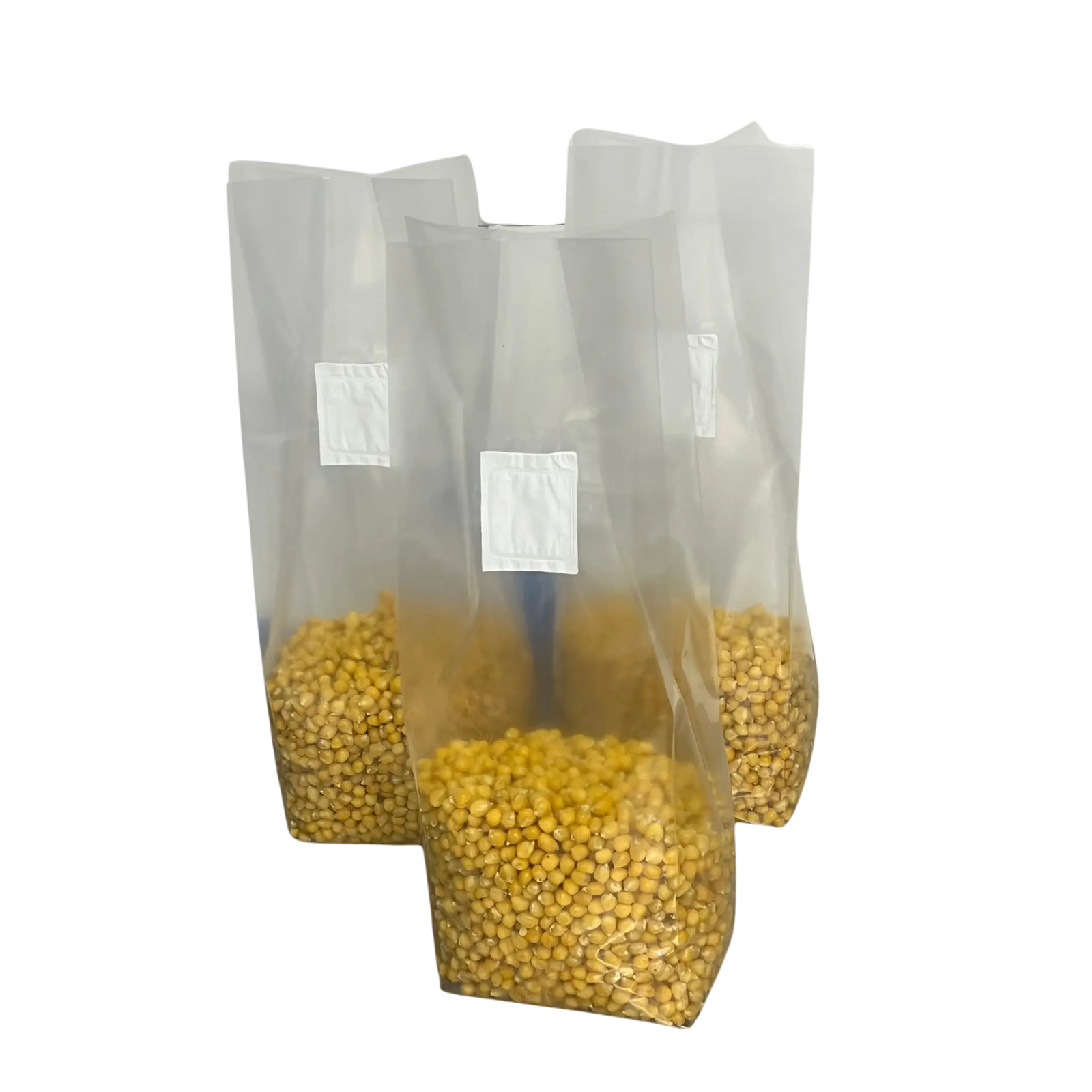 3 Pack | 3lb Drippy Corn Grain Spawn