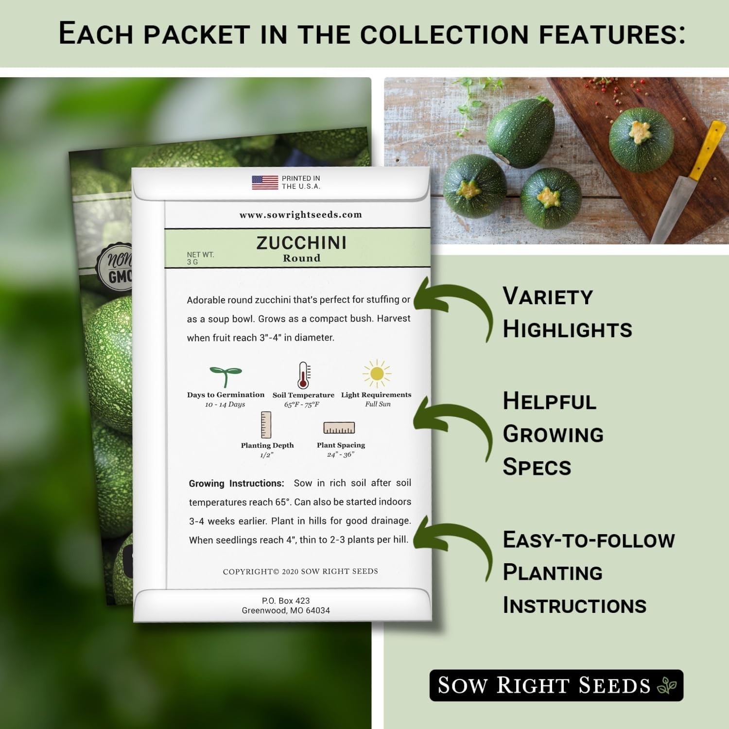 Sow Right Seeds – Zucchini Squash Seed Collection for Planting – Black Beauty, G