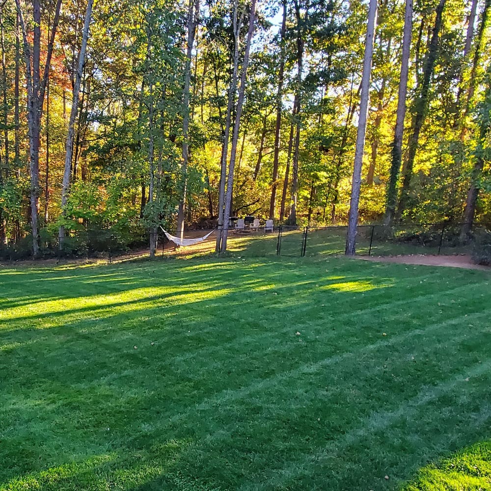 10 LBS – OptiGrowth Coated Kentucky Bluegrass Seed For Lawns – Bluegrass