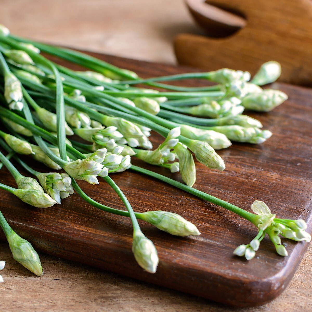 1/4 Lb Garlic Chives Herb Seeds – Everwilde Farms Mylar Seed Packet