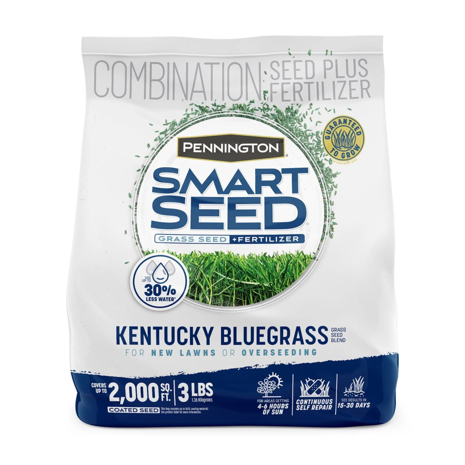 Smart Seed Kentucky Bluegrass Grass, Lawn Seed Grass for Sun to Partial Shade, 3