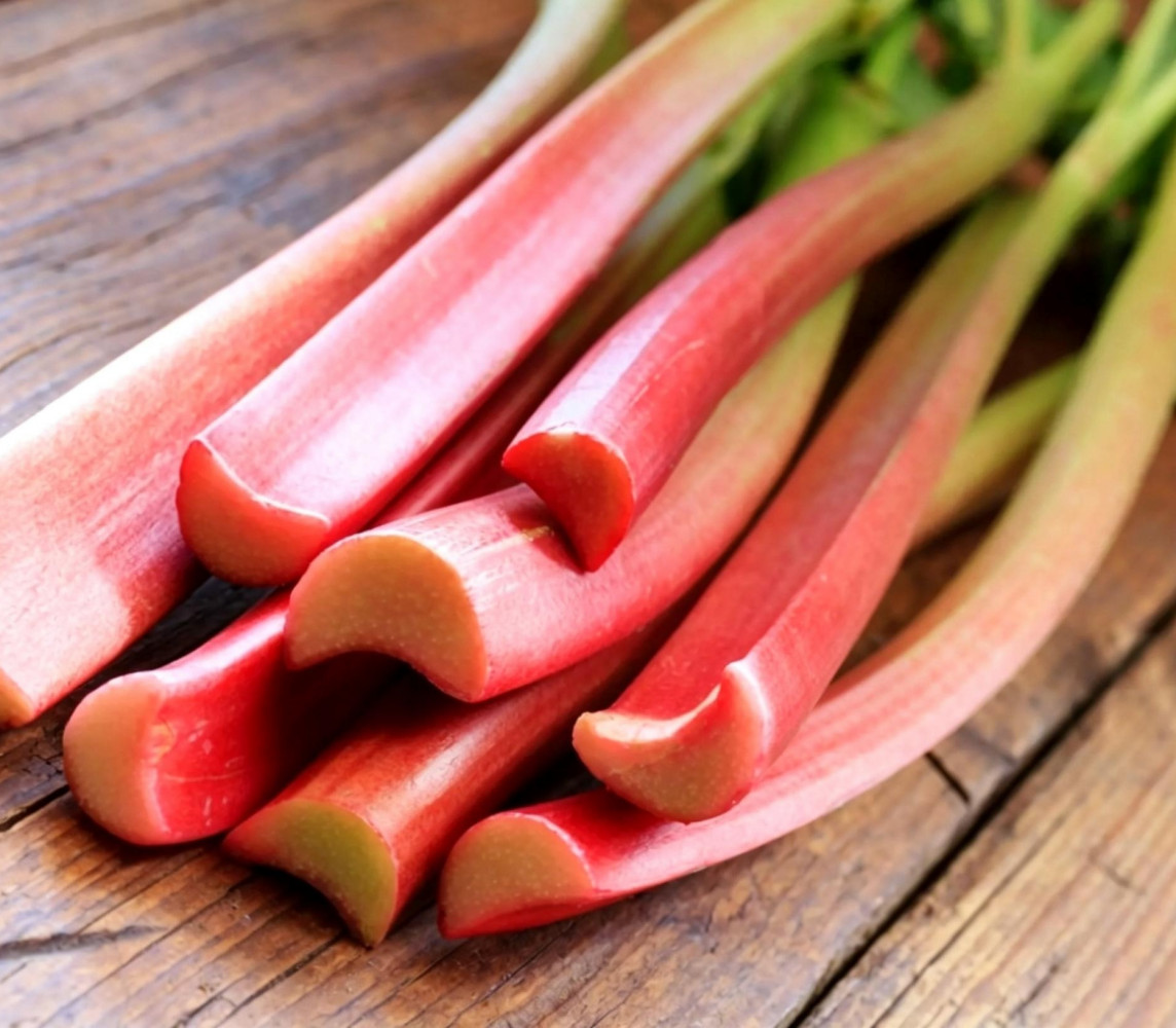 Rhubarb Glaskins Perpetual Seed – Heirloom Vegetable Prolific Harvest Pollinated