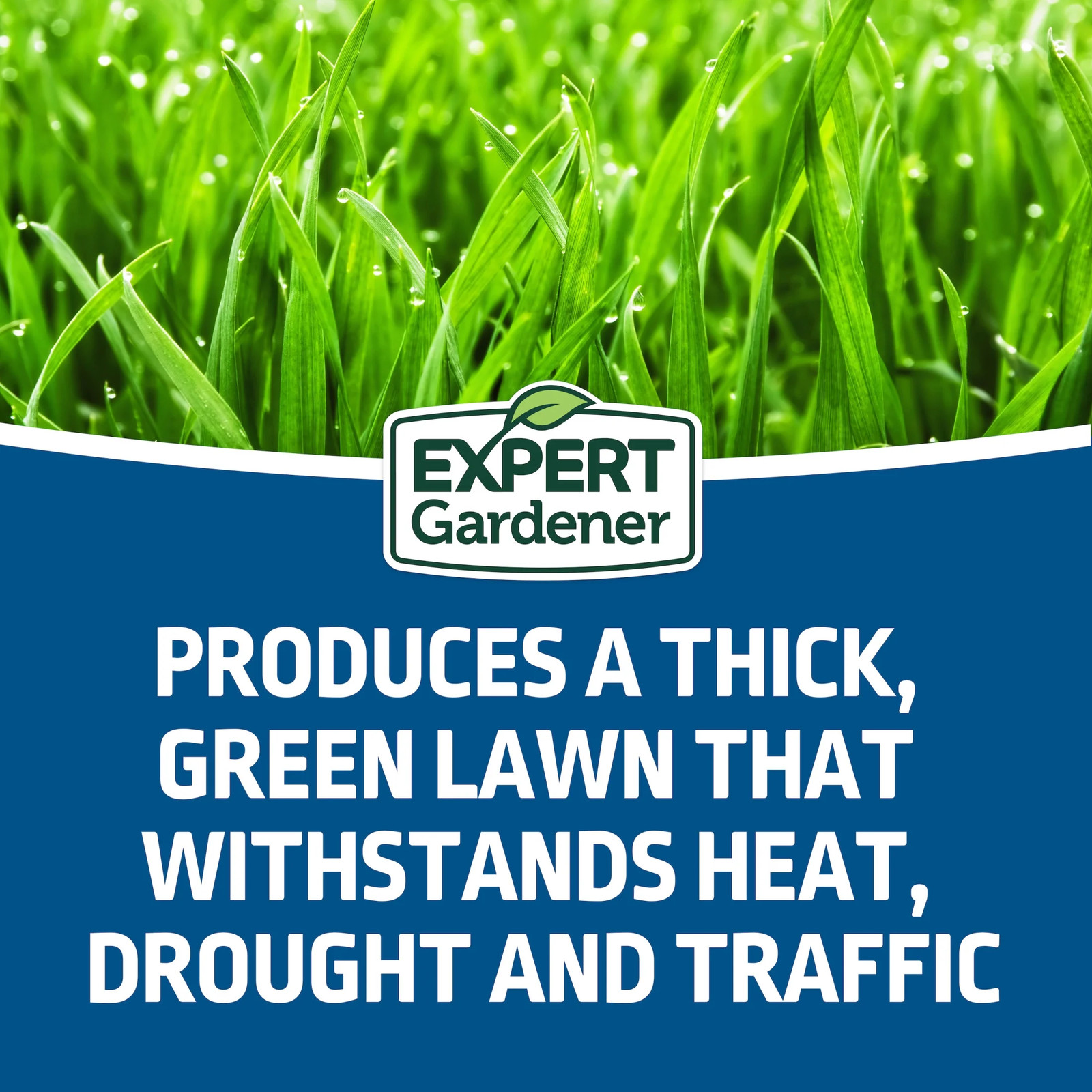 Sun & Shade Southern Grass Seed Mix, for Sun to Partial Shade, 7 Lb.