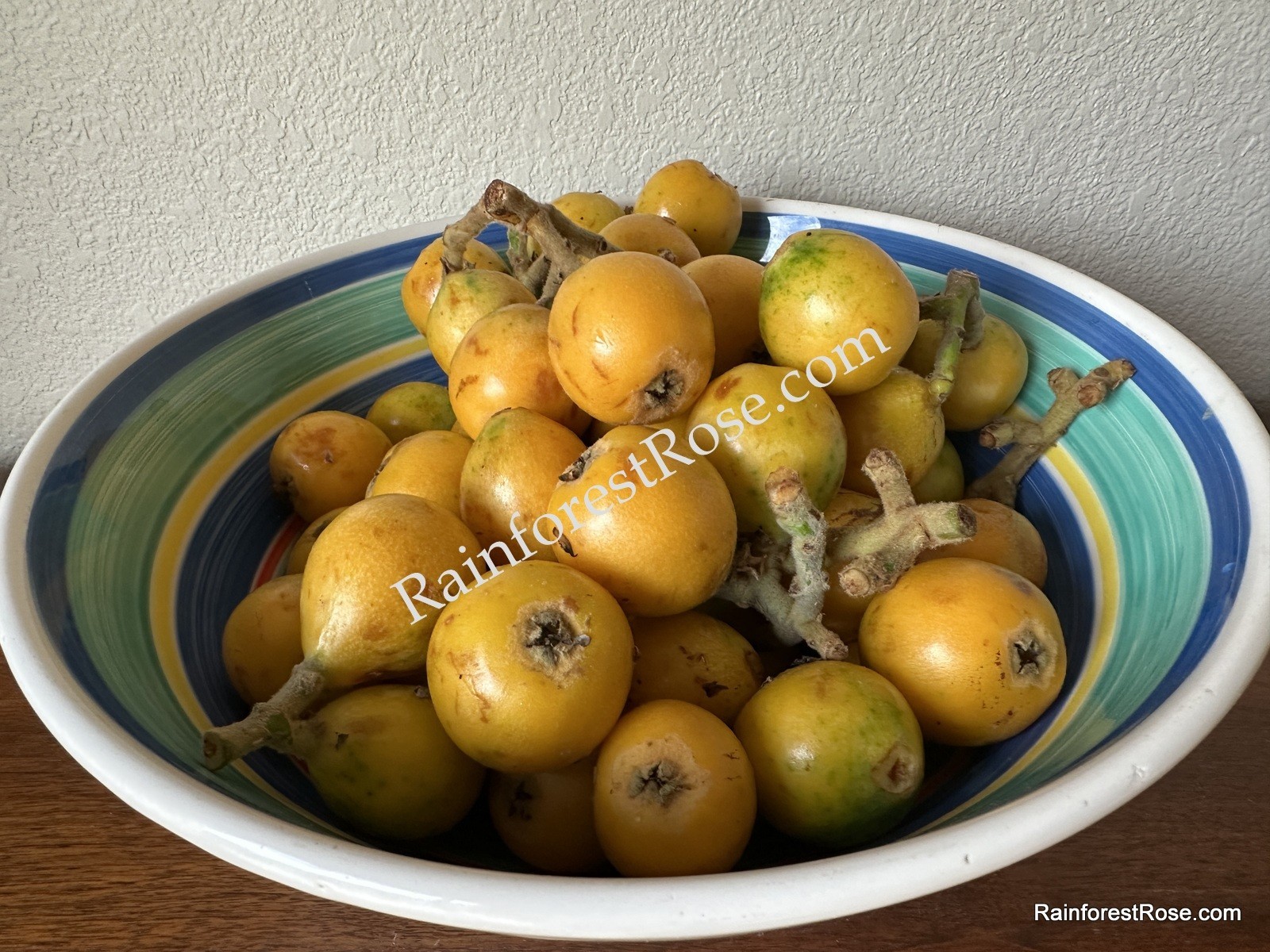 20 fresh Loquat seeds delicious fruit, sweet, sour vitamin Rosaceae Rose family