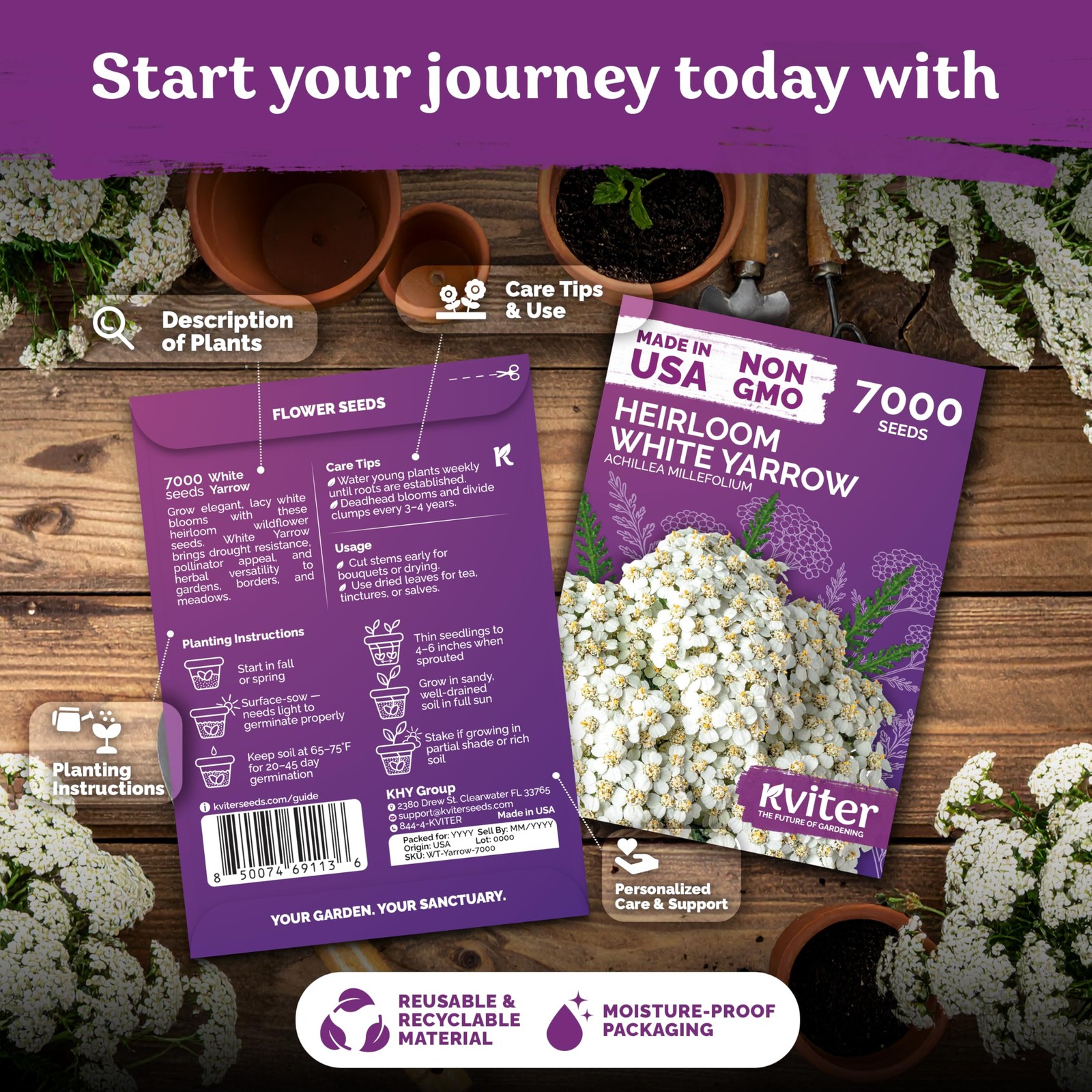 KVITER 7000 White Yarrow Seeds for Planting (Achillea Millefolium)