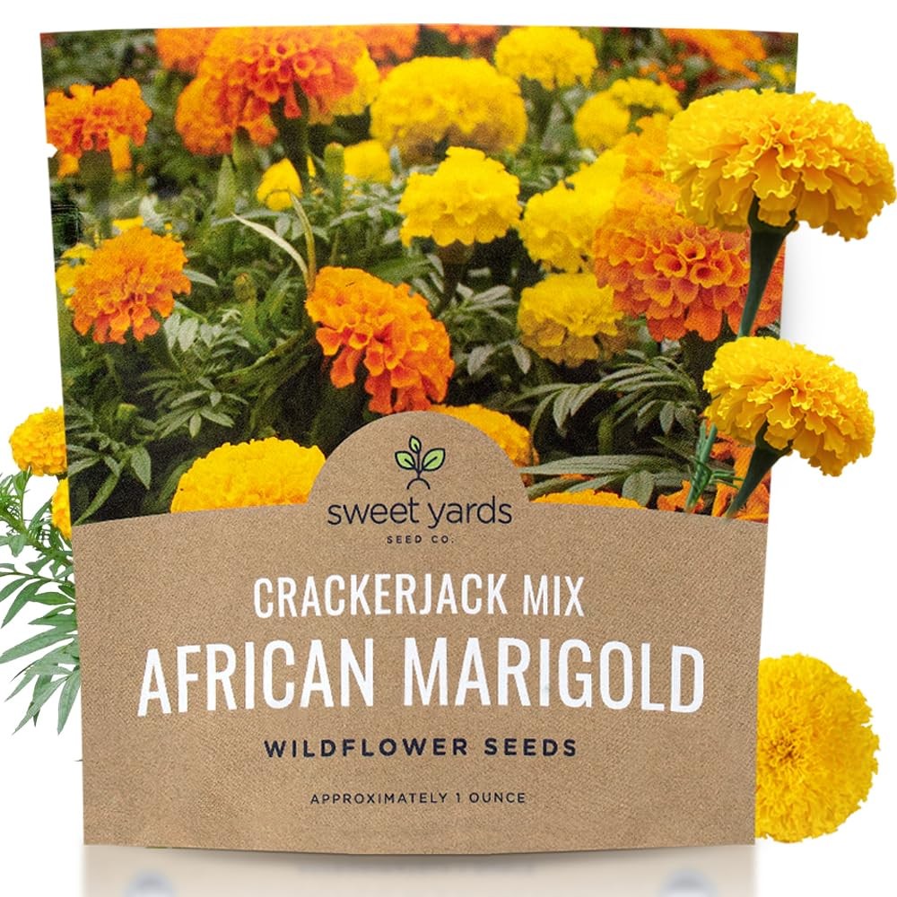 Sweet Yards African Marigold Seeds Mix 1 Ounce (Pack of 1), Orange