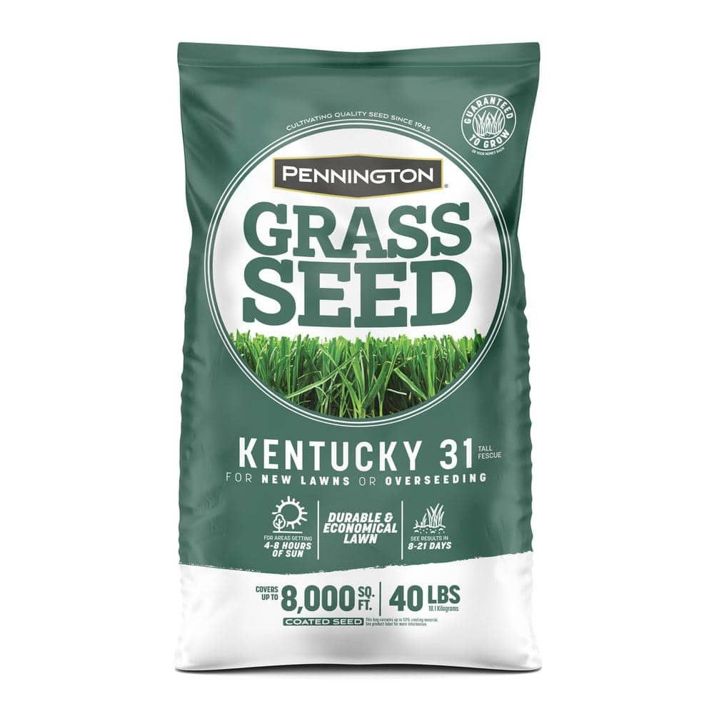 Kentucky 31 Tall Fescue 40 Lb. 8,000 Sq. Ft. Grass Seed