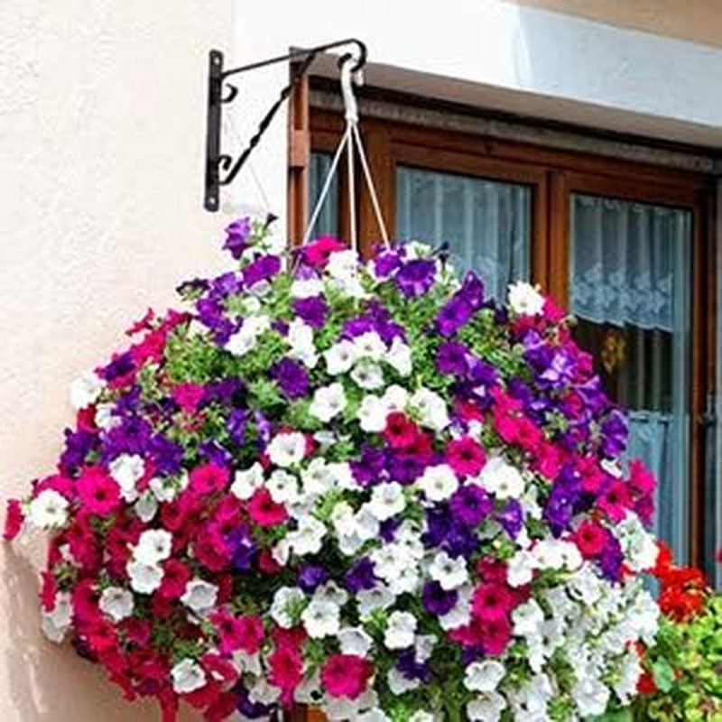 4 Pack Hanging Plant Brackets Outdoor 12″ Metal Fence Wall Plant Hanger Hooks fo