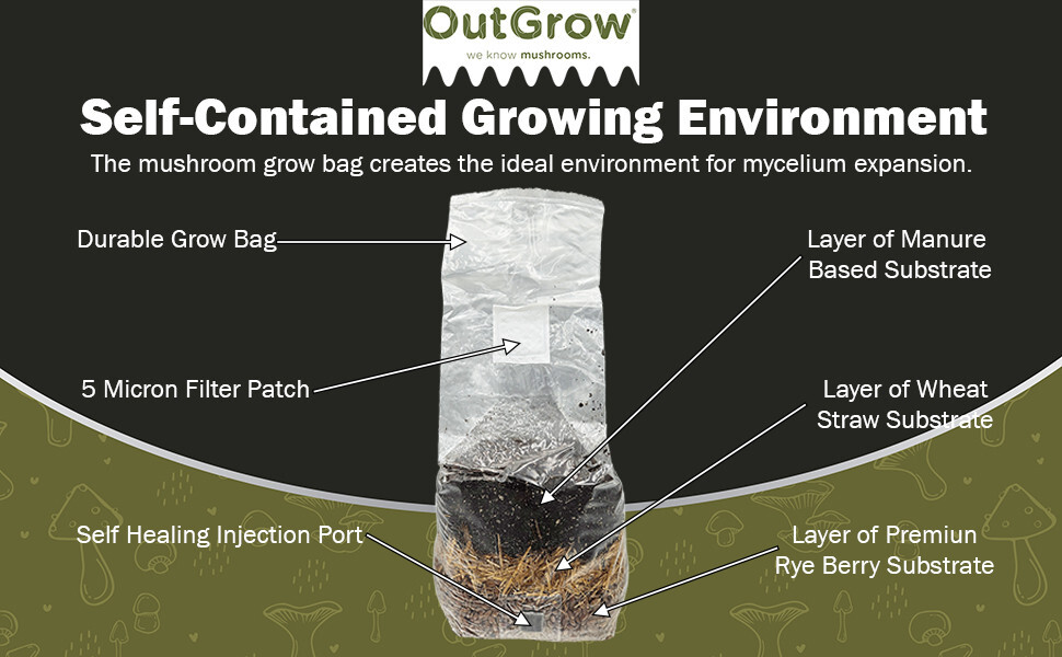 All in One Mushroom Grow Bag (2 Pack)