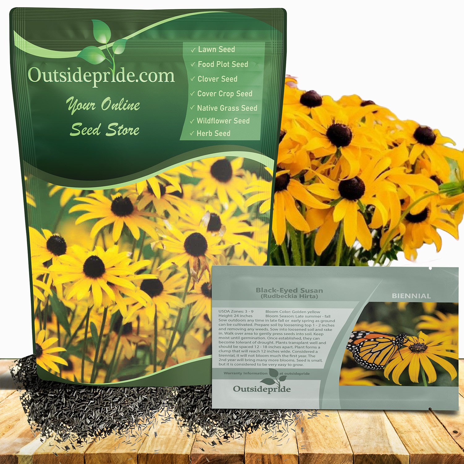 5 LBS Rudbeckia Hirta Drought Tolerant Black Eyed Susan Wildflower Seeds