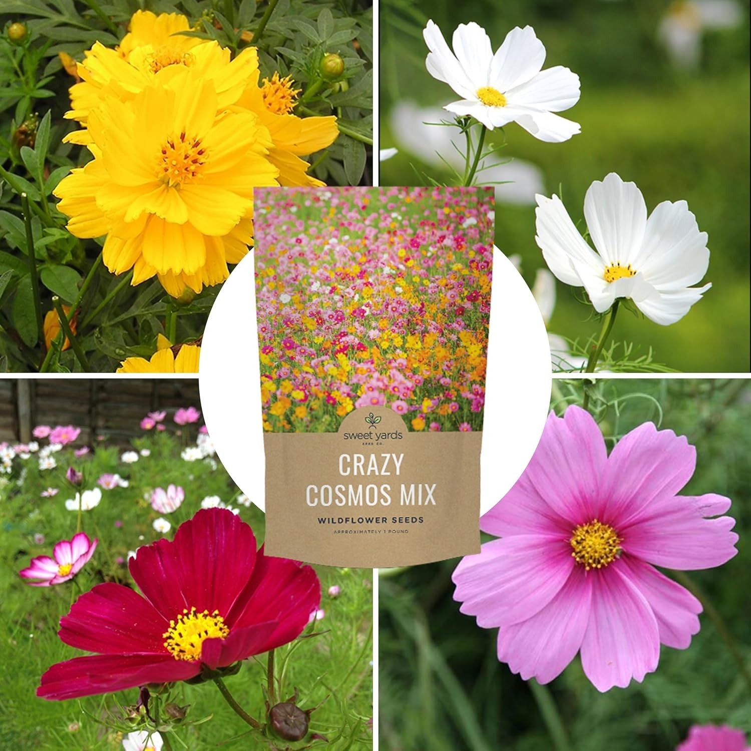 Cosmos Wildflower Mix – 1 lb Bag – 80,000 Seeds