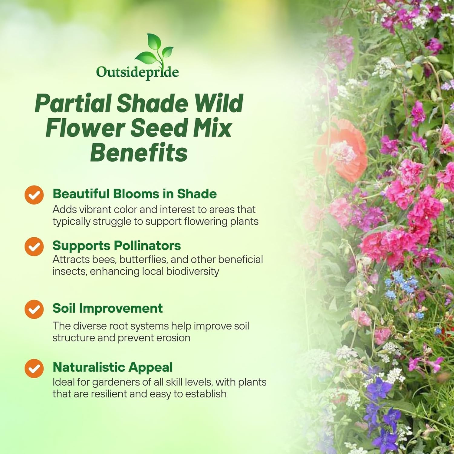 5 LBS Partial Shade Wild Flower Seed Mix For Planting Outdoors
