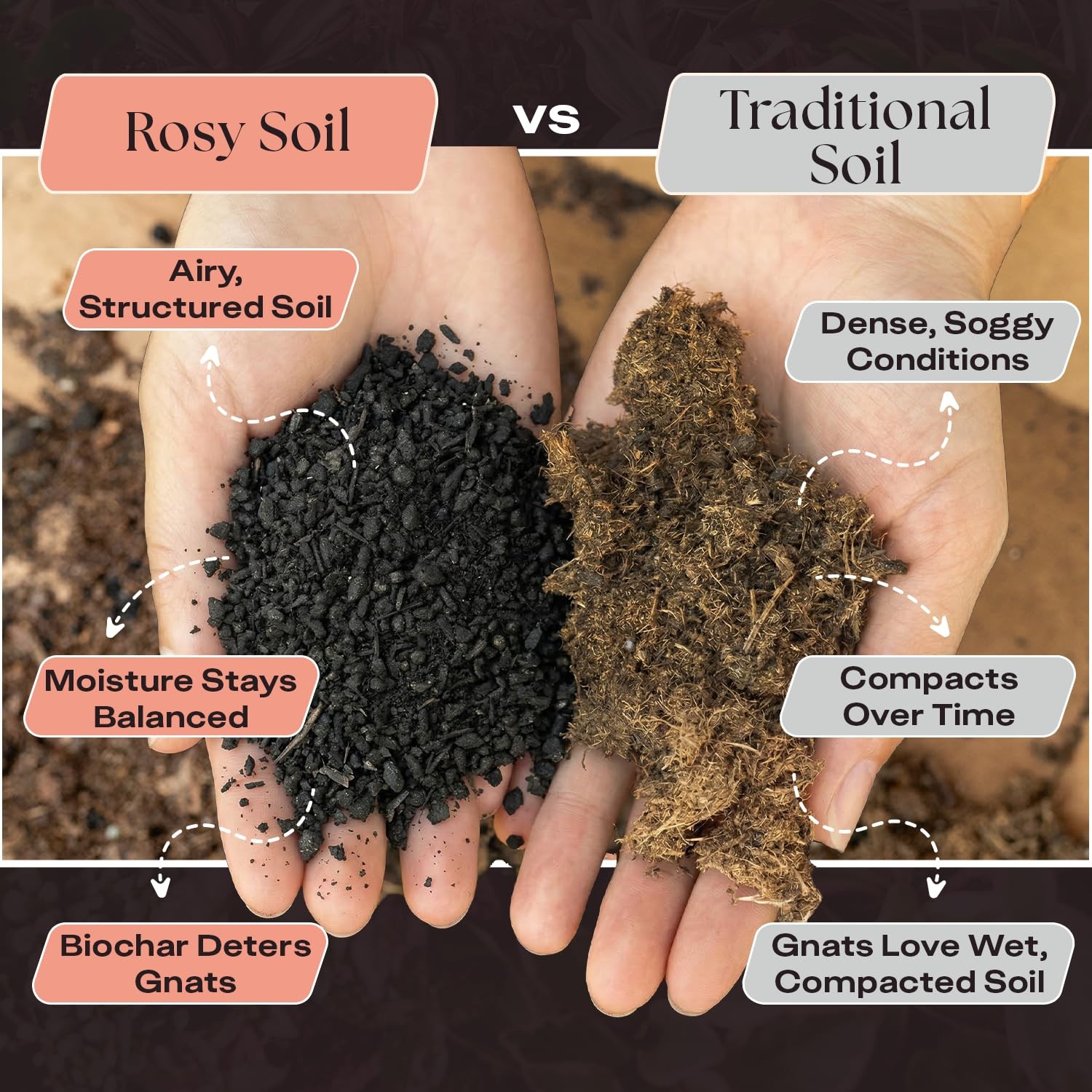 Rosy Soil Cactus & Succulent Potting Mix, 4 Quarts | Organic Succulent Potting S