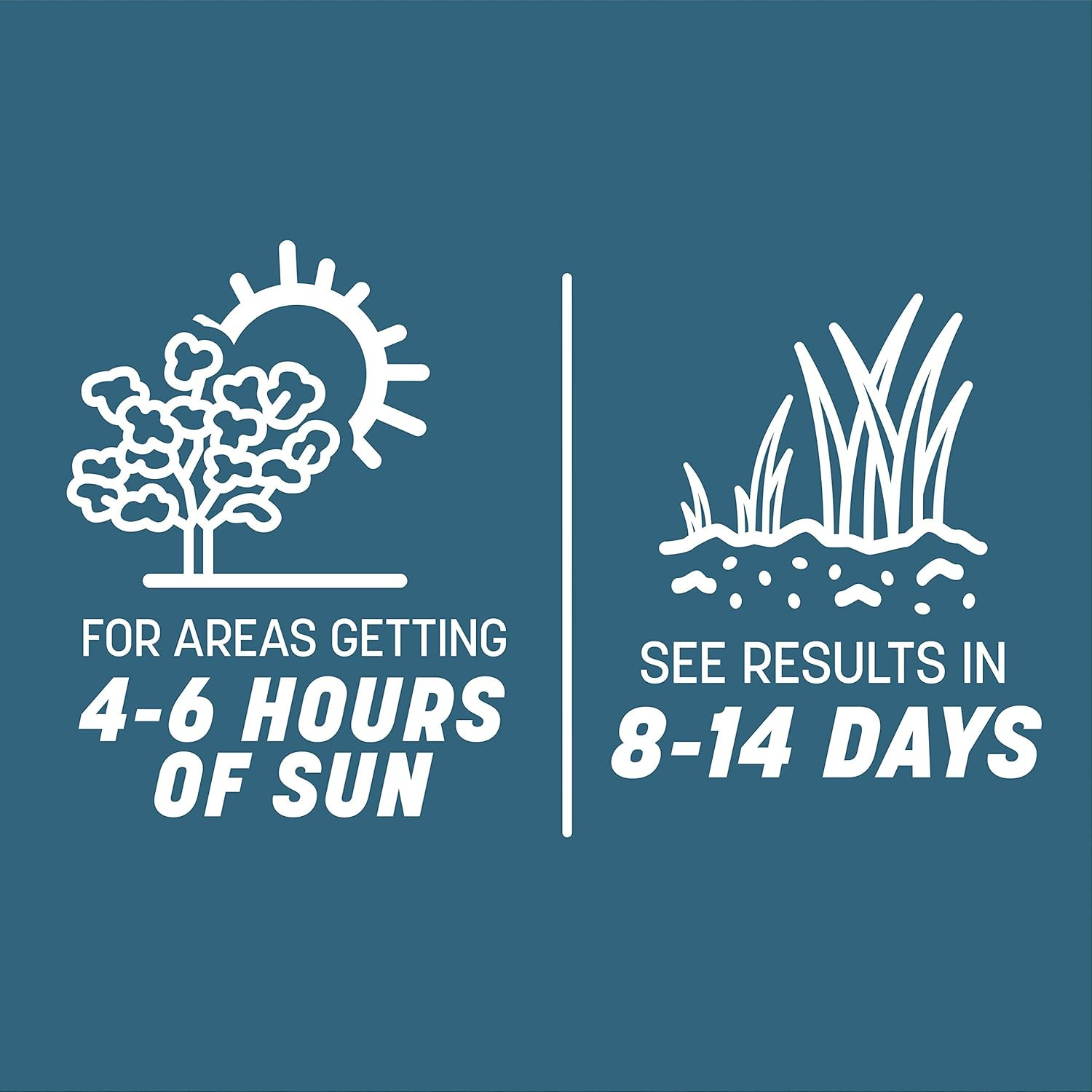 Pennington Smart Seed Northeast Mix, Includes Kentucky Bluegrass, Fine Fescues,