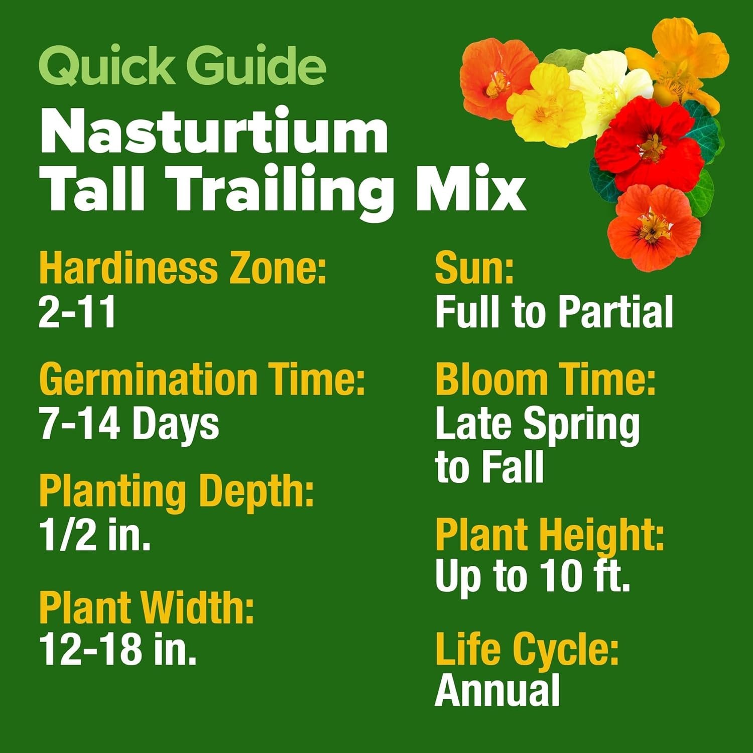 Vibrant Nasturtium Seeds – Grow 250+ Edible Flowers Beautifully in Your Garden