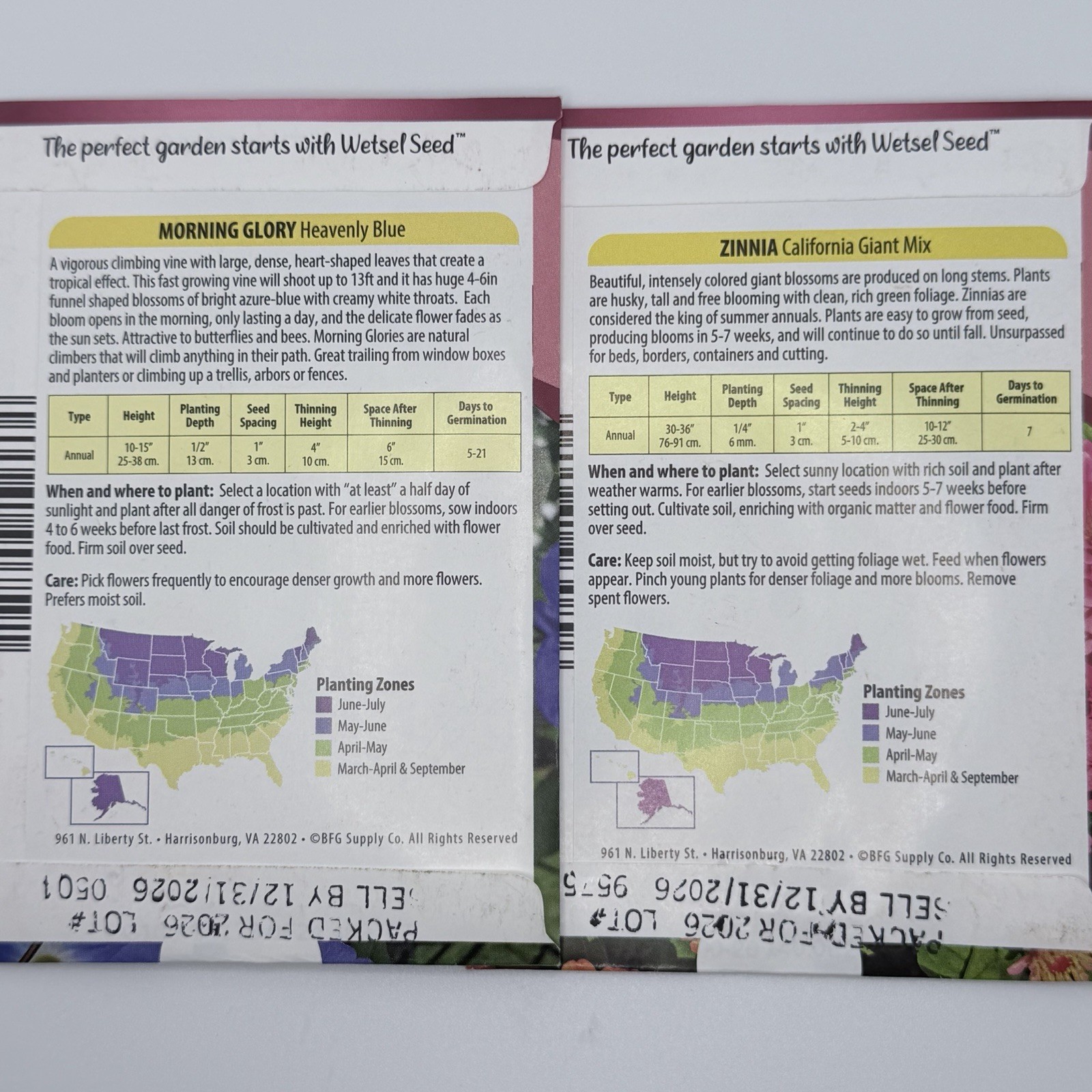 Flower Seed packet (varieties) Annual by Wetsel seed
