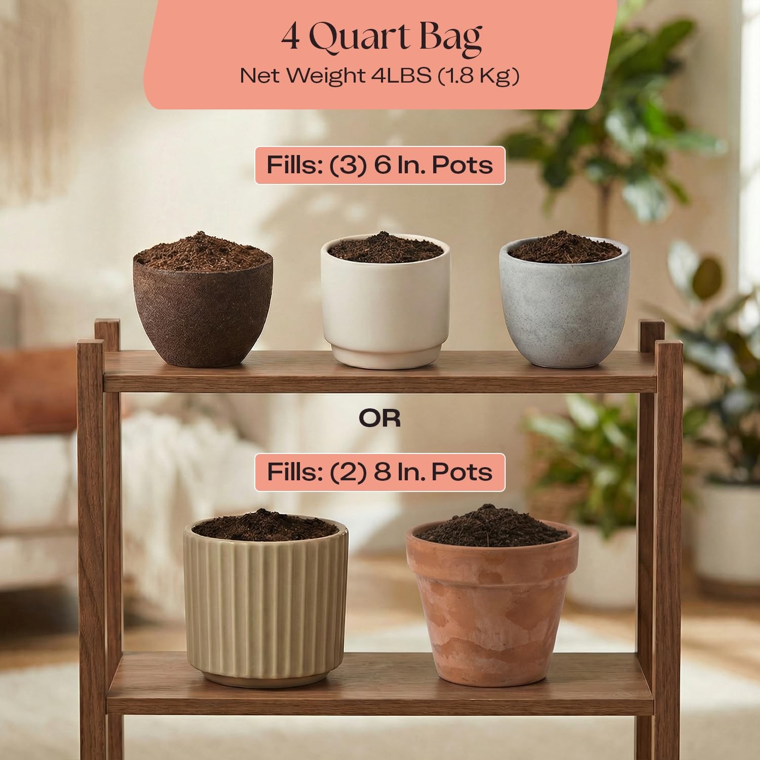 Rosy Soil Cactus & Succulent Potting Mix, 4 Quarts | Organic Succulent Potting S
